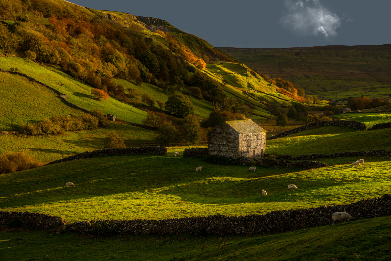 Yorkshire Morning