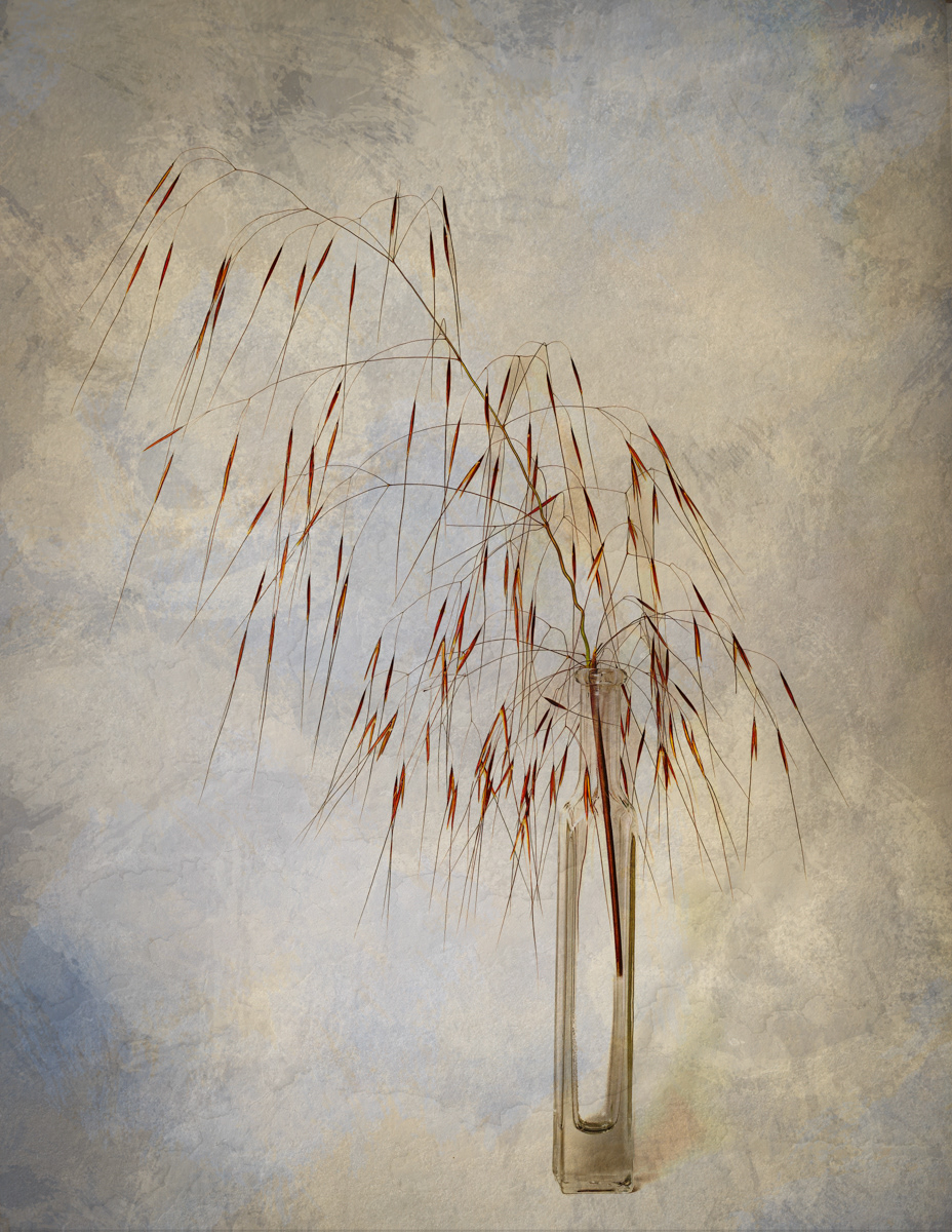 4. Autumn Grasses