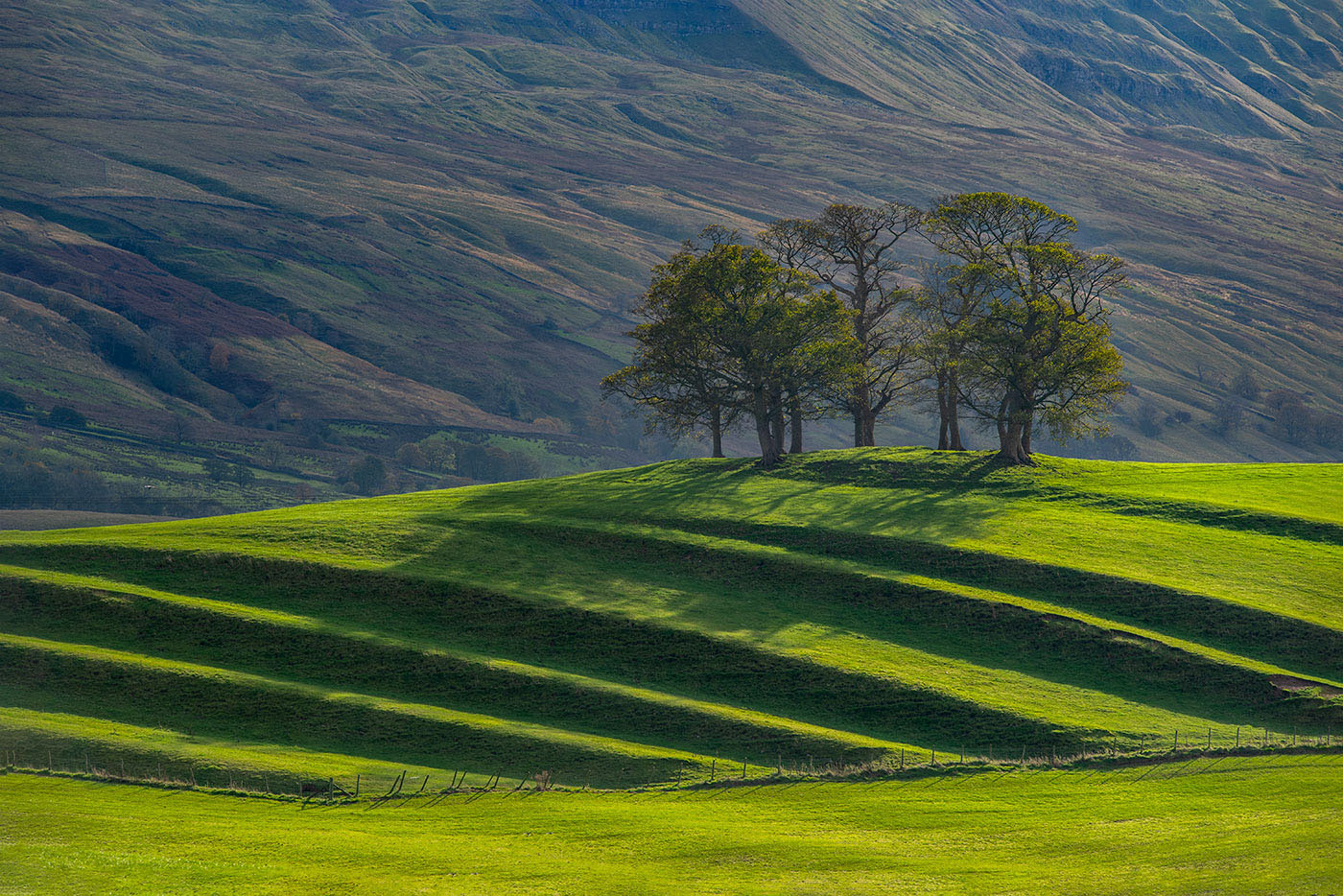 Down in the Dales