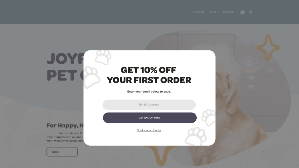 Website design