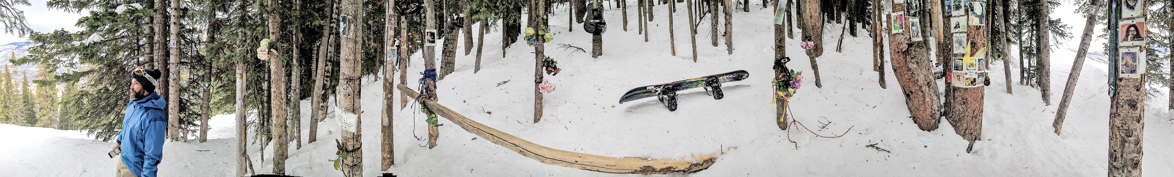 Jerry Garcia Shrine hidden in the woods on Aspen Mountain