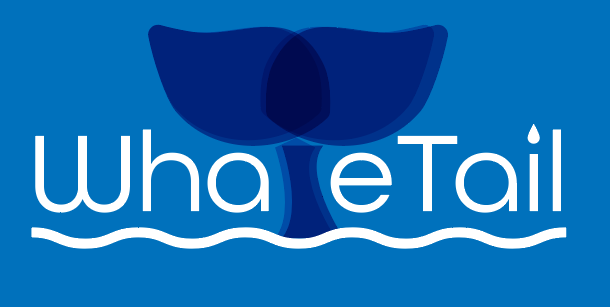 Logo concept