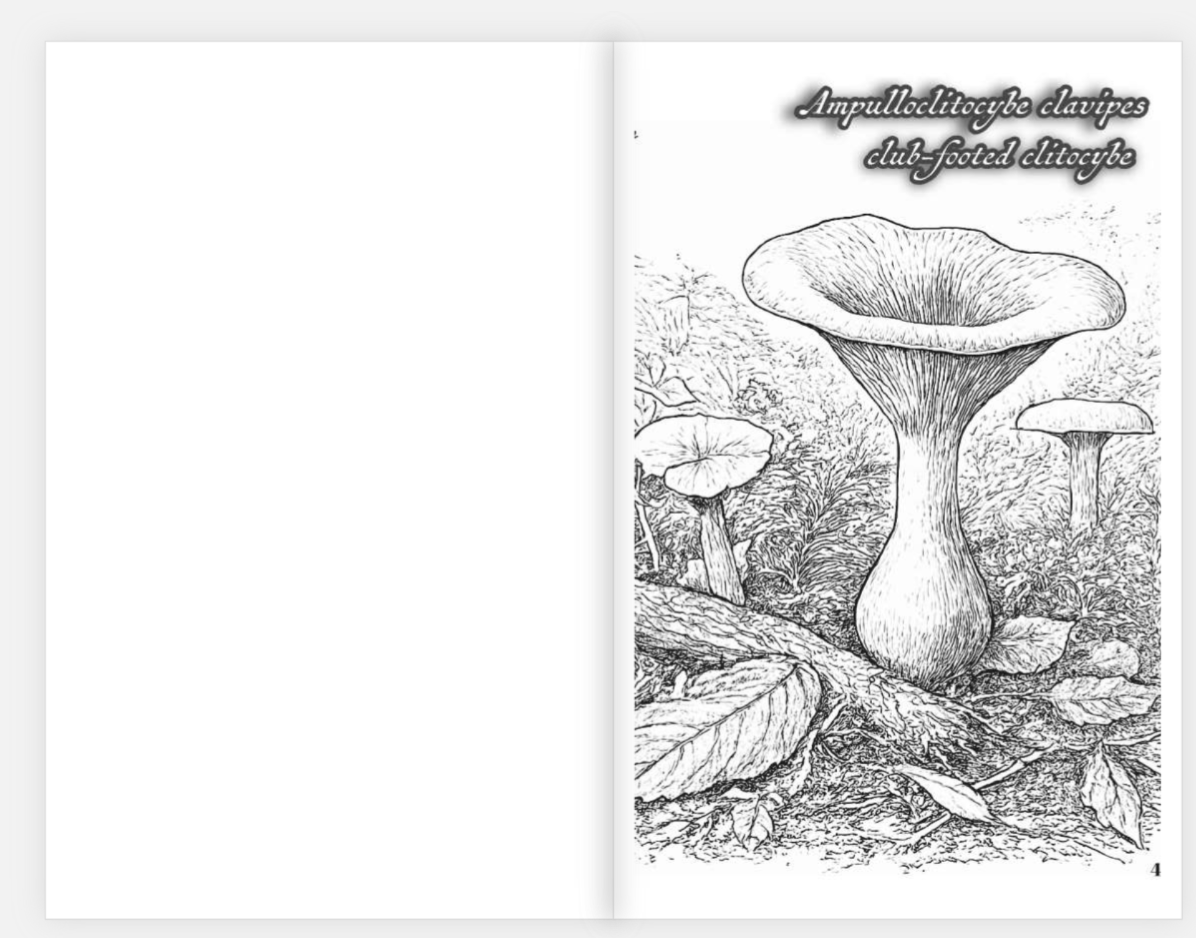 Example inside illustration(Printed single sided)