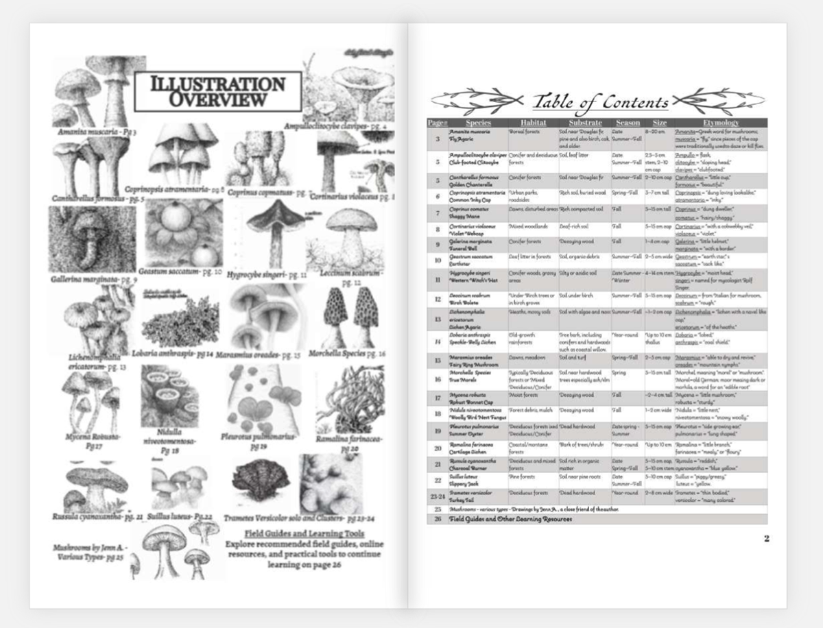 Overview and Table of Contents