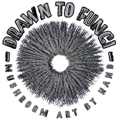 Drawn to Fungi- Mushroom Art by Stevi Brown