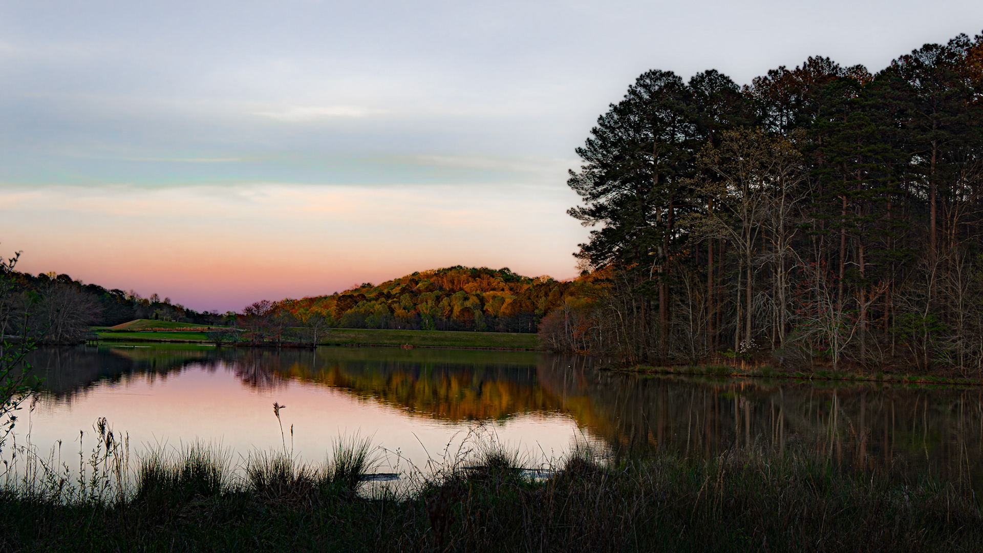 Little Mulberry Park