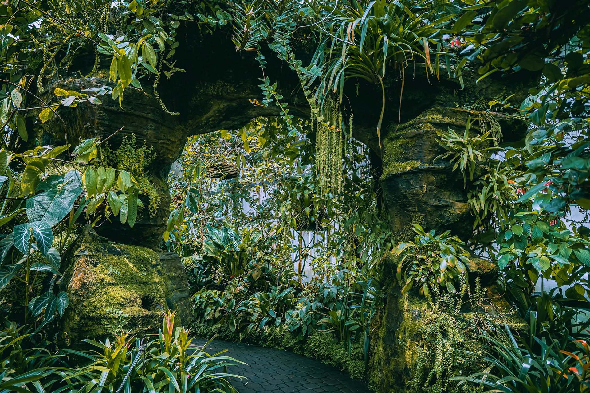 Atlanta Botanical Garden