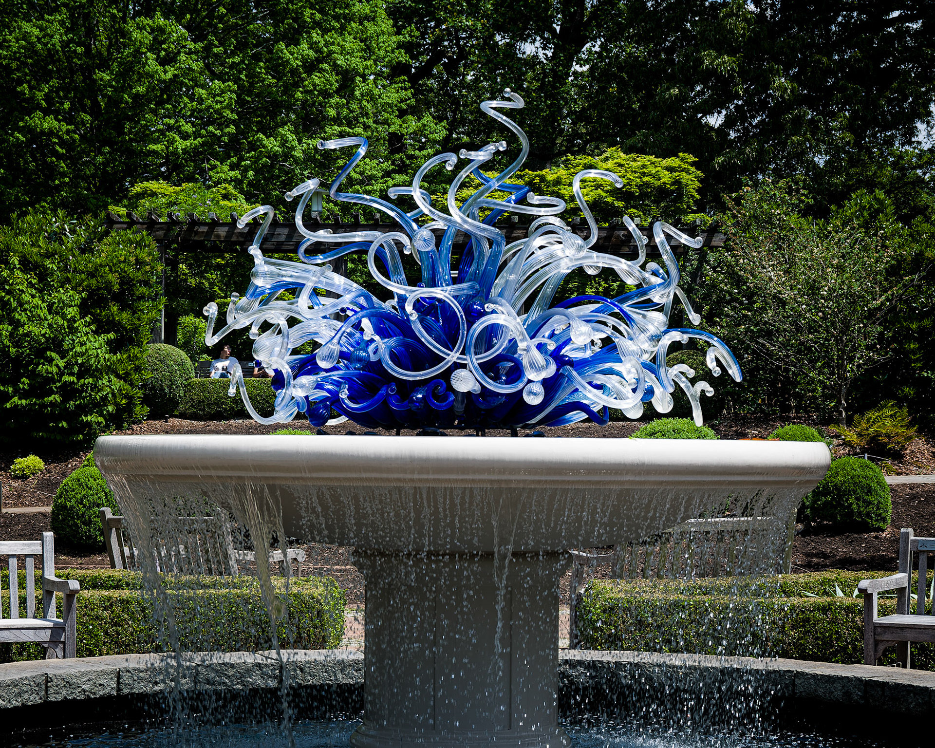 Atlanta Botanical Garden