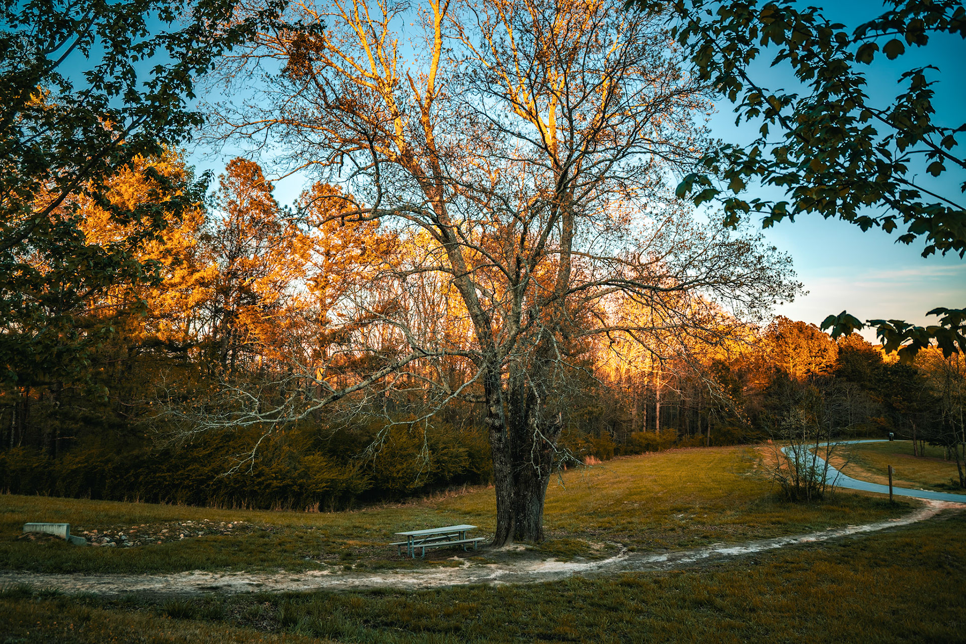 Little Mulberry Park