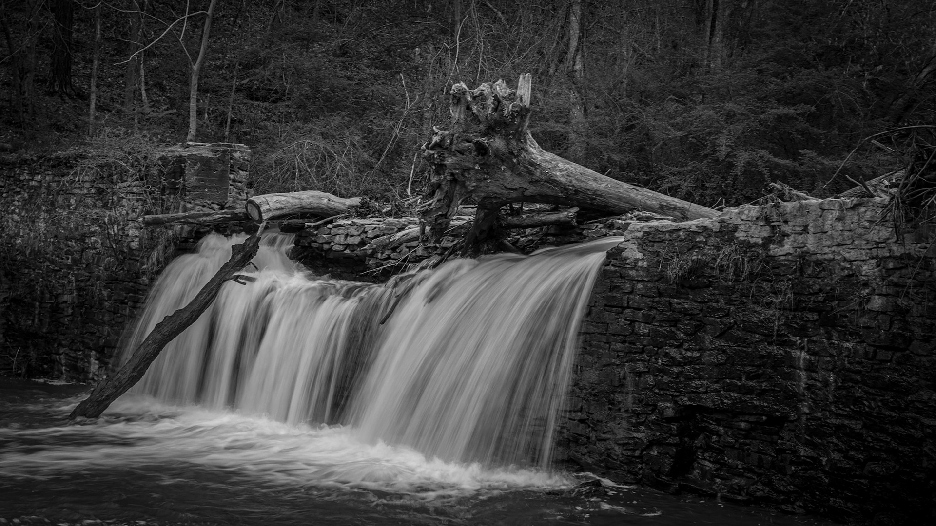 Freeman's Mill Park
