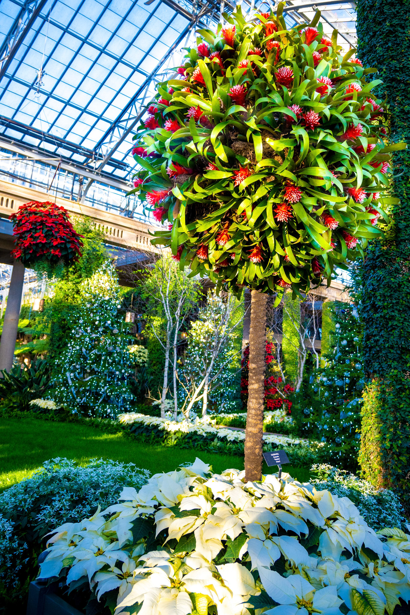 Longwood Gardens, PA