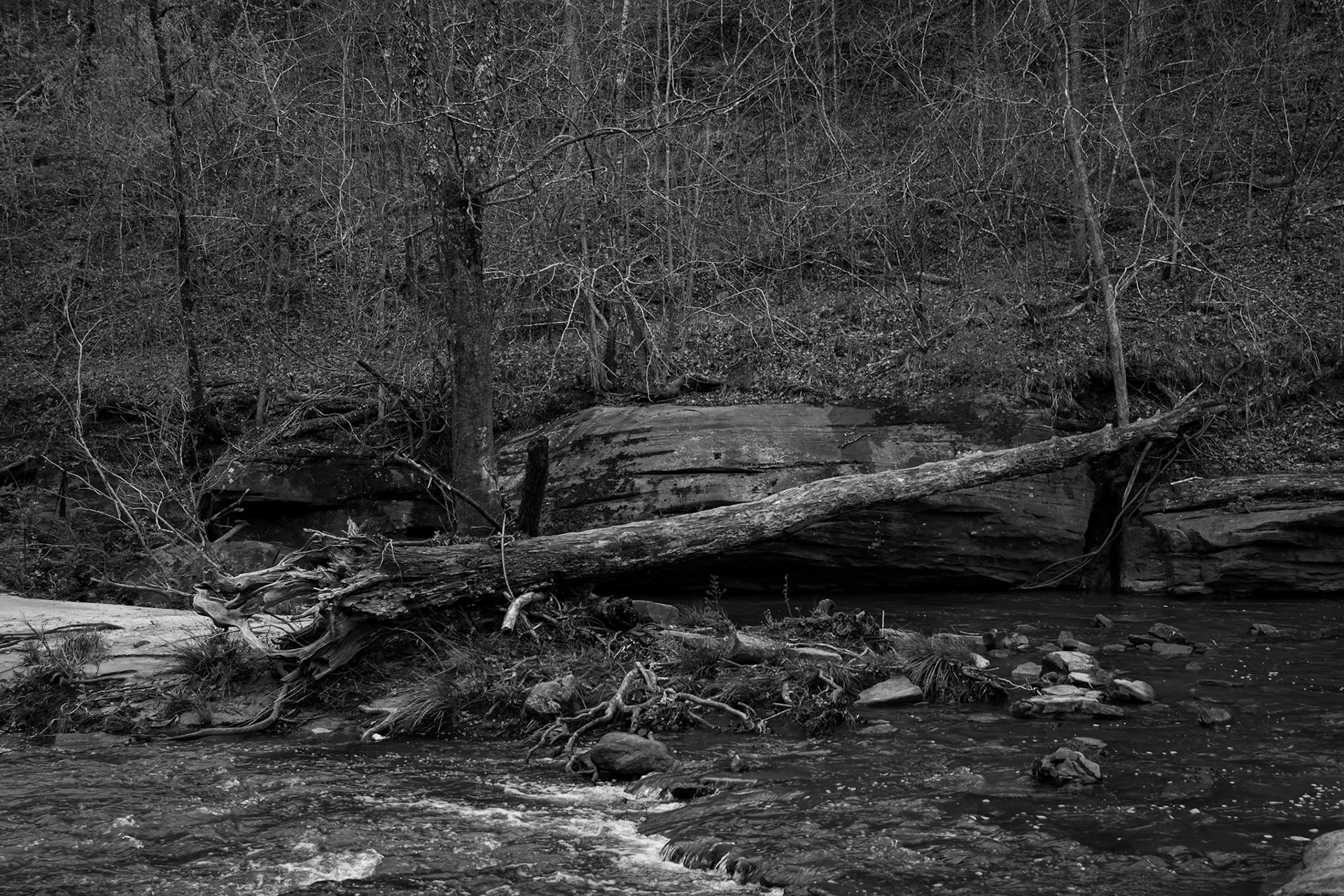 Freeman's Mill Park
