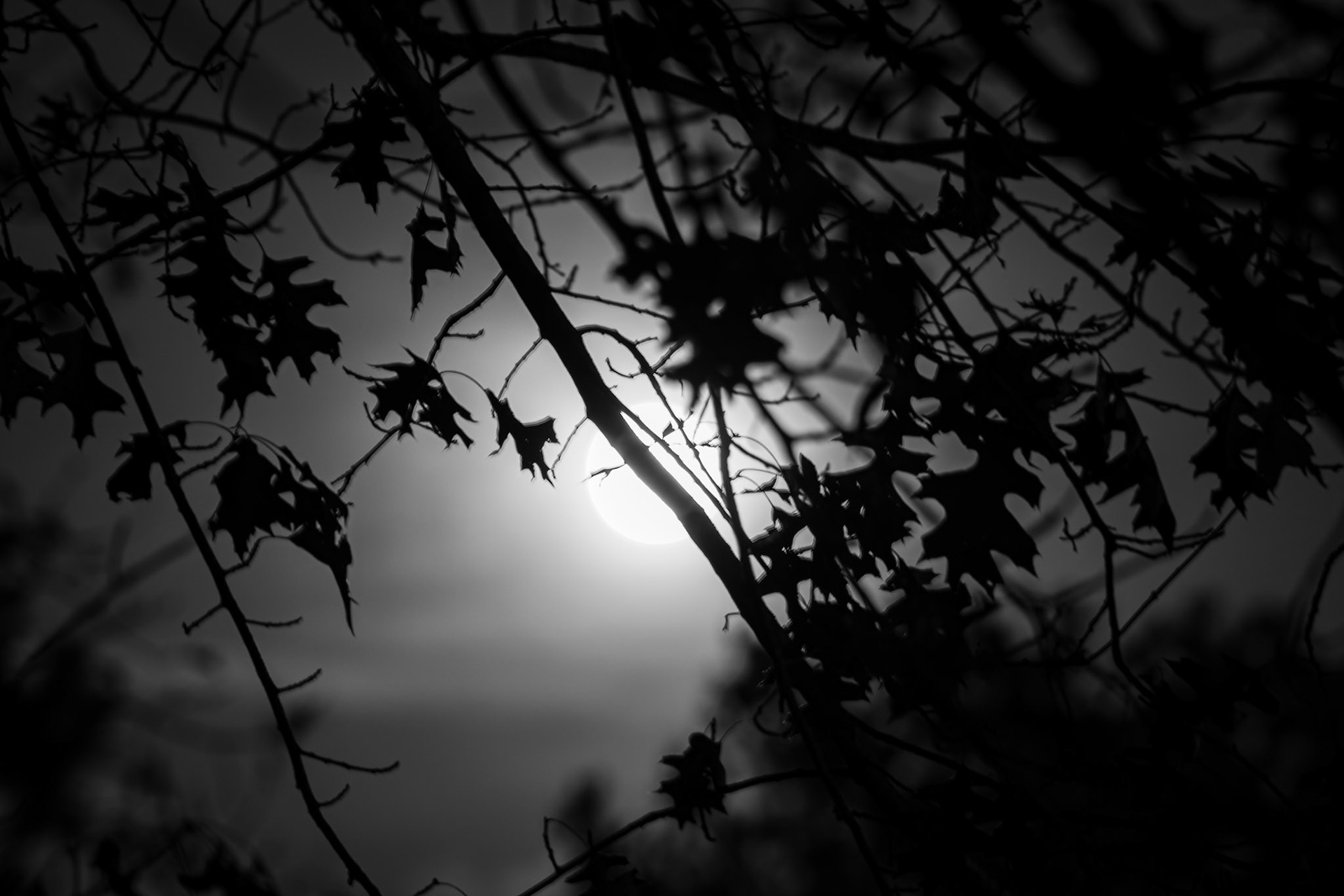 Full Moon - 100% Illumination