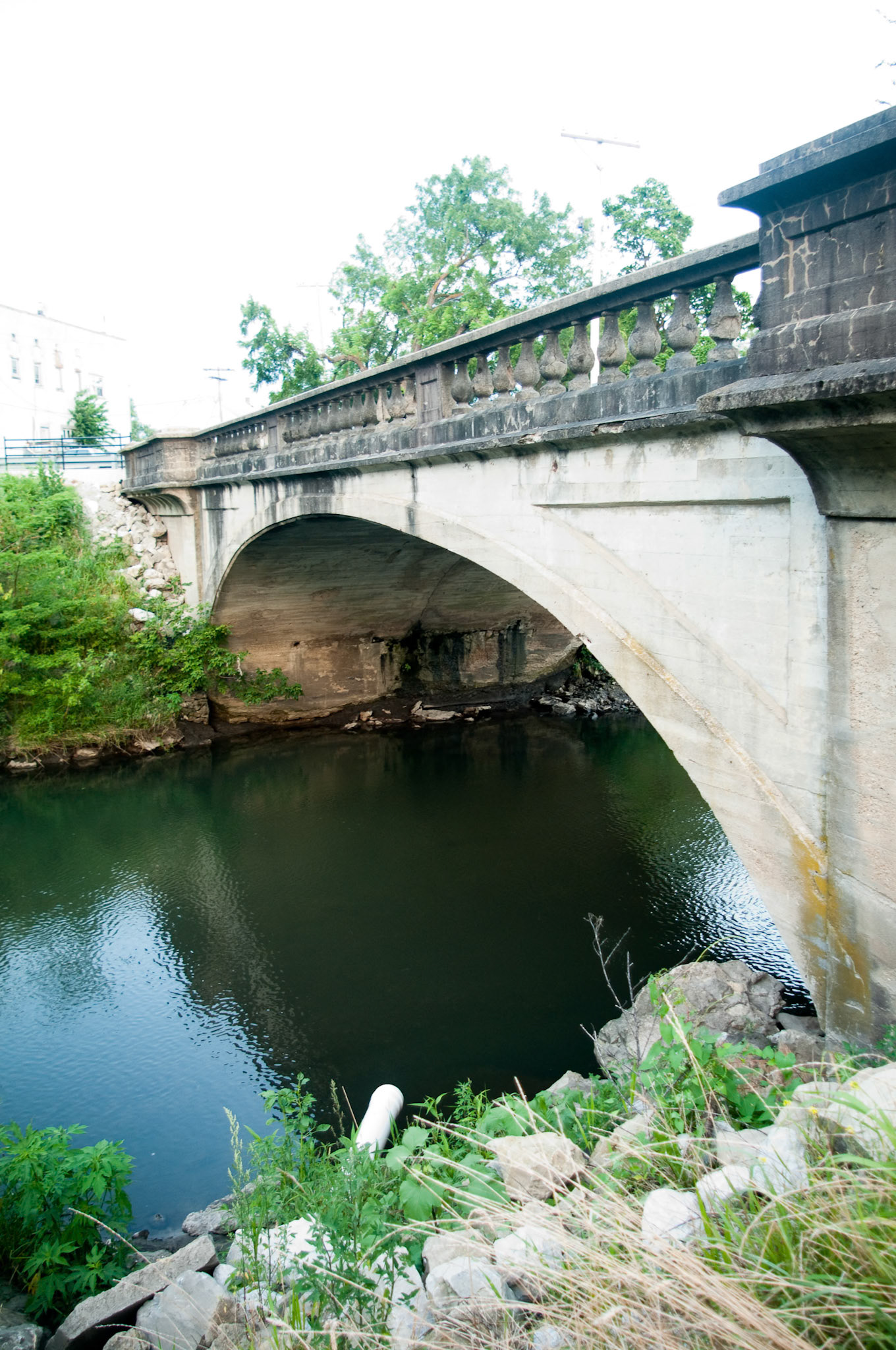 Ivory Arches