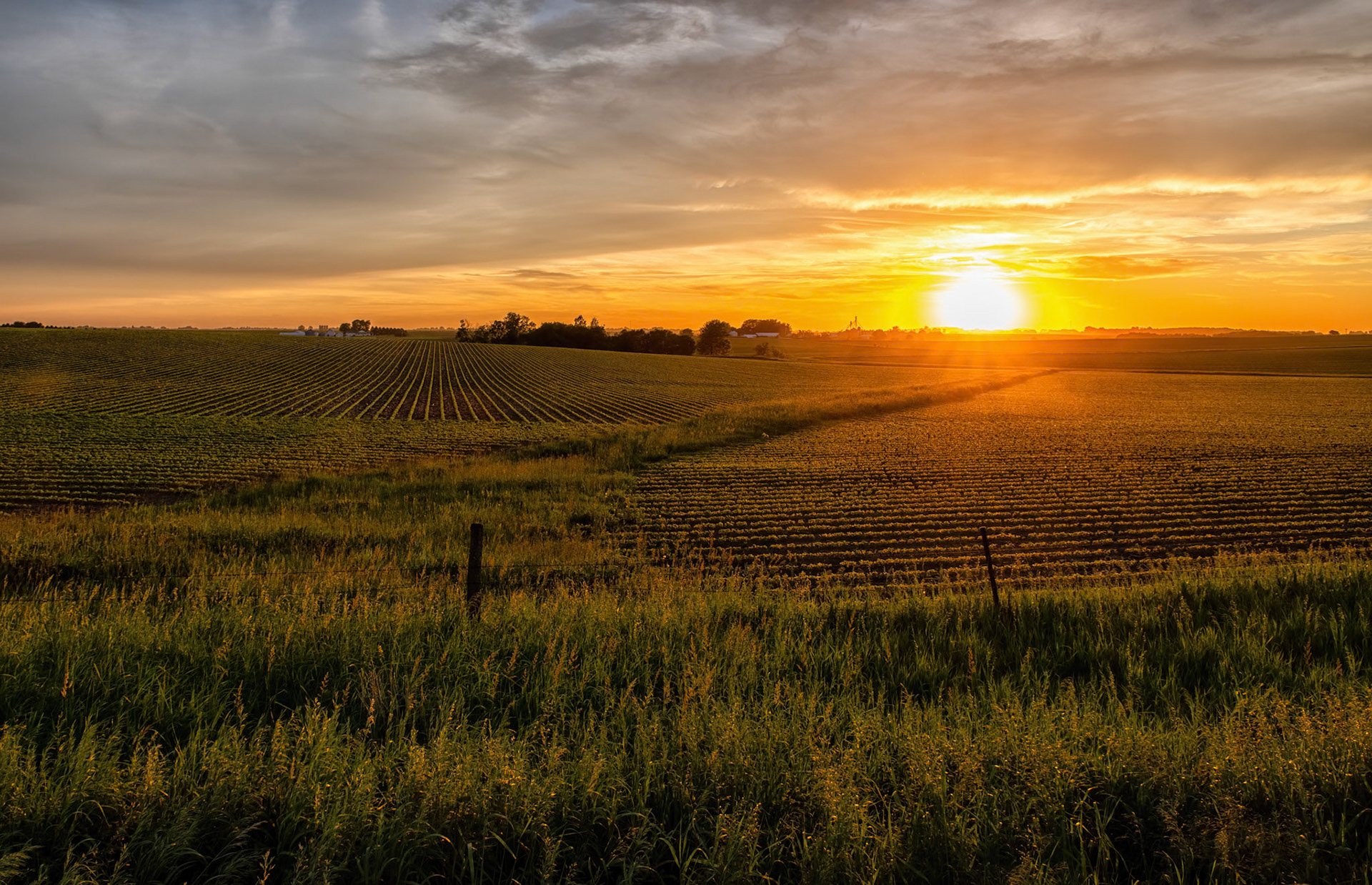 A Study in Sunsets: As the high level clouds moved in from Cristobal, I journeyed north to capture the last rays of sunlight over the fields of Linn County.