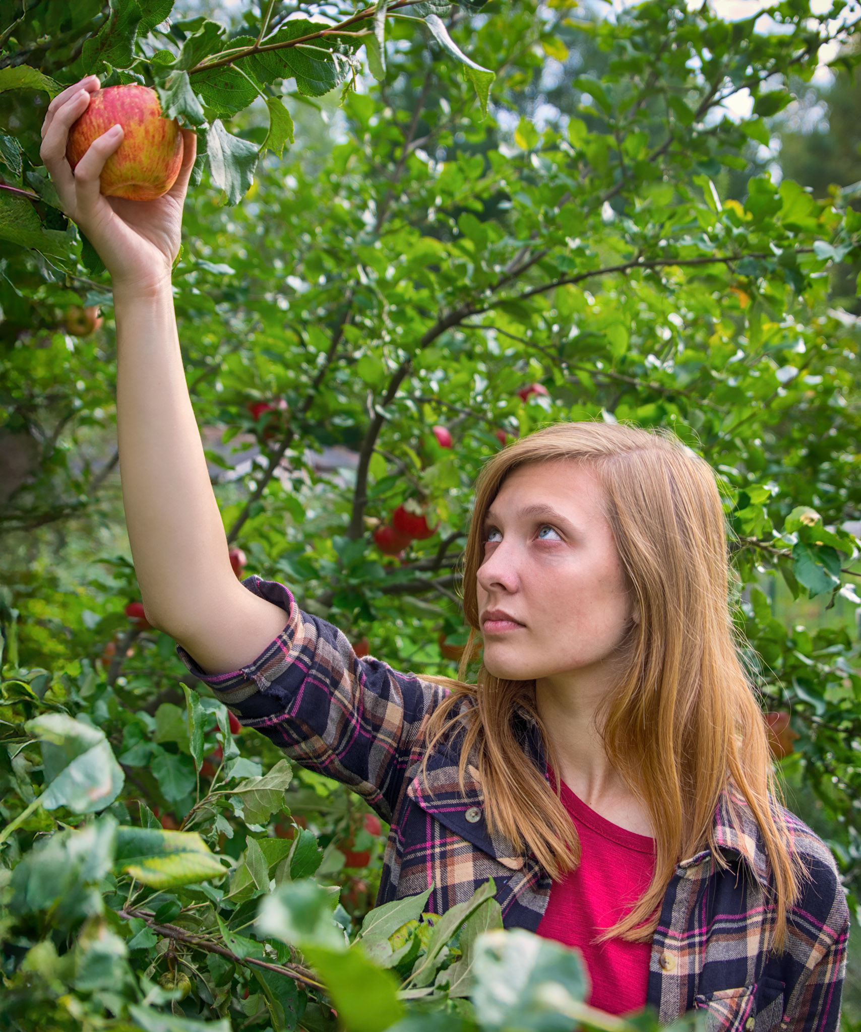Reaching for the Apple: More rework of some older portraits using new techniques.