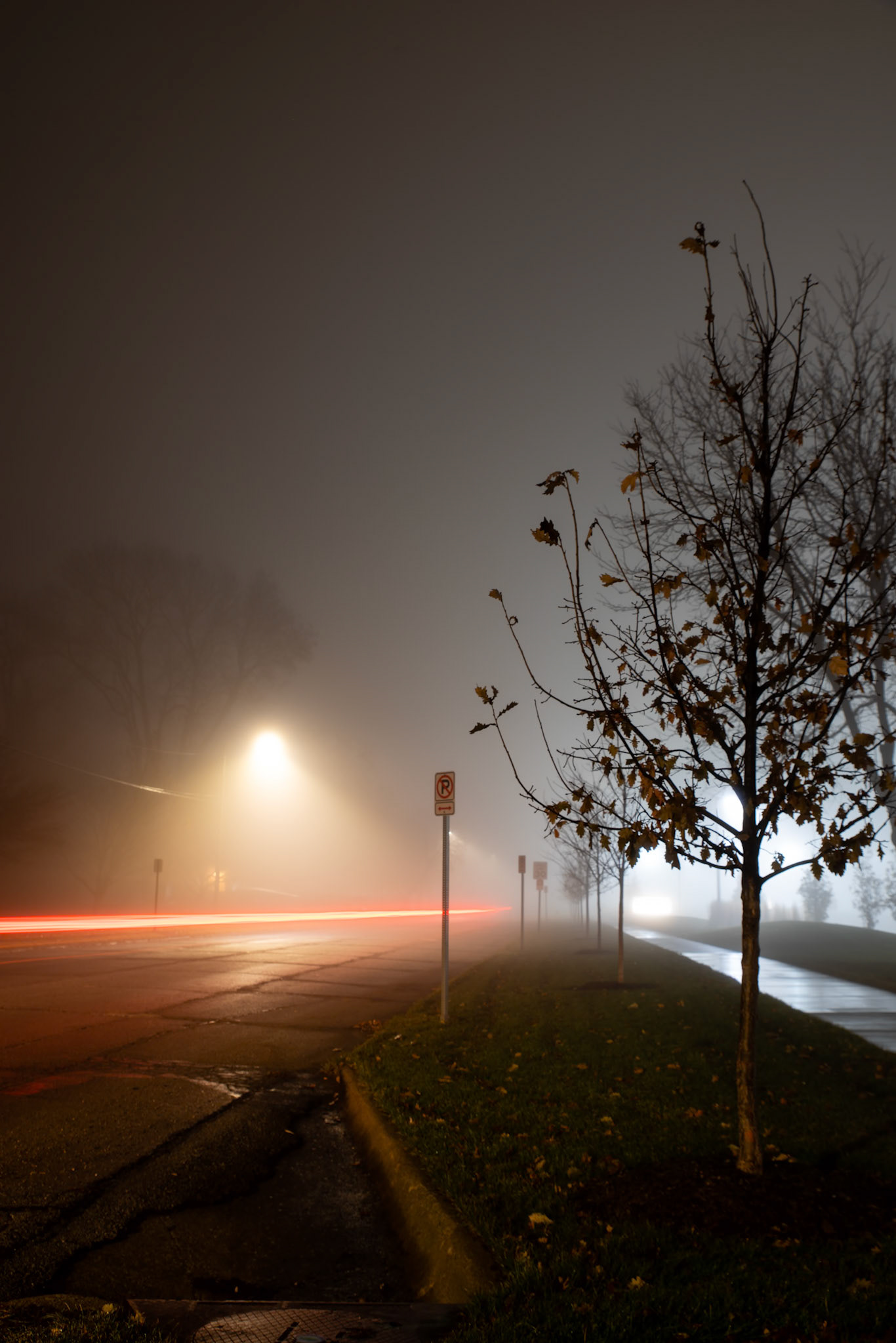 Taking advantage of a foggy morning, I got a few shots in.