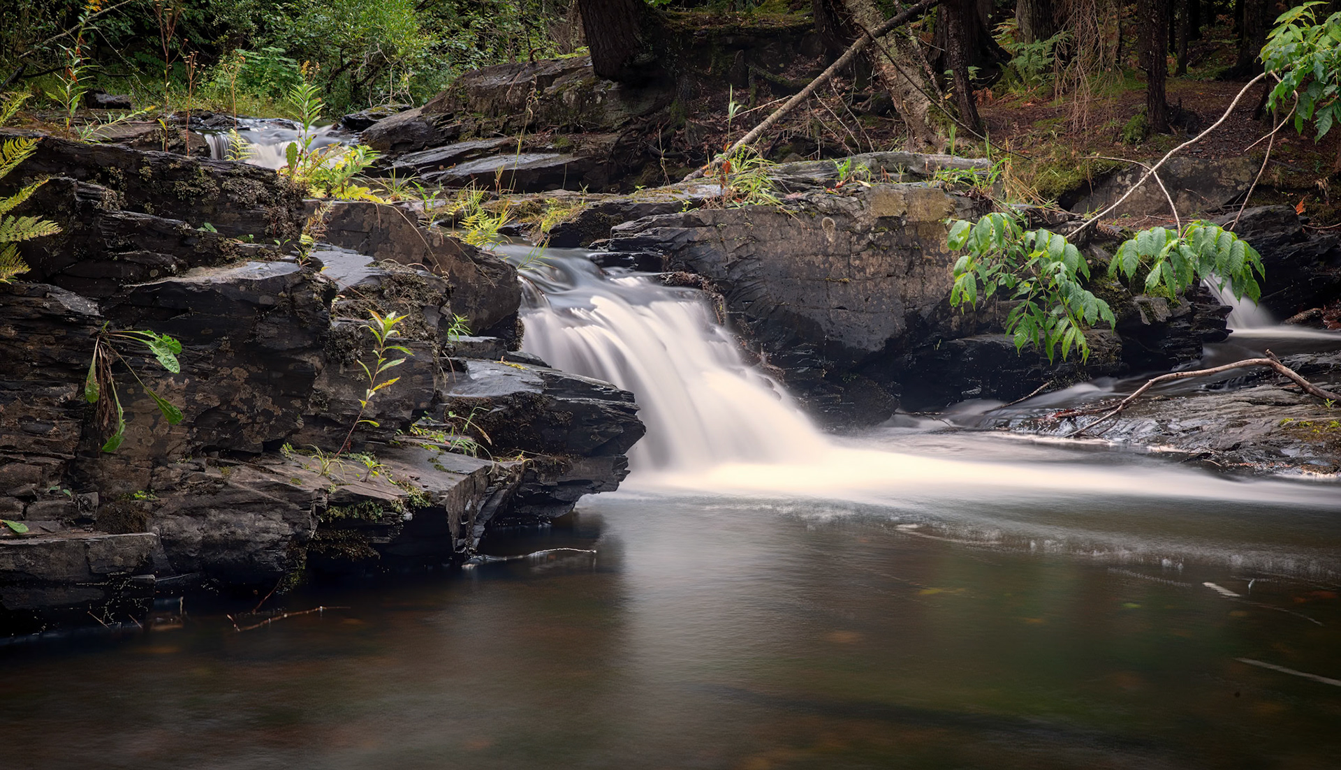 A Calm Fall