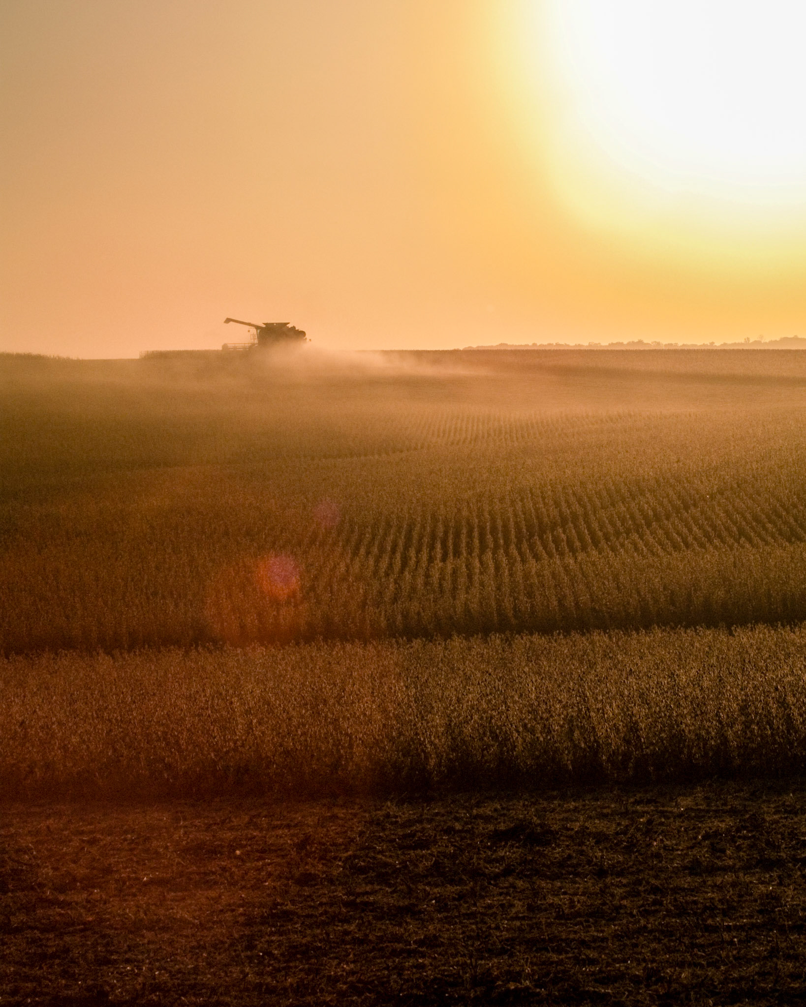 Farming for Sunsets