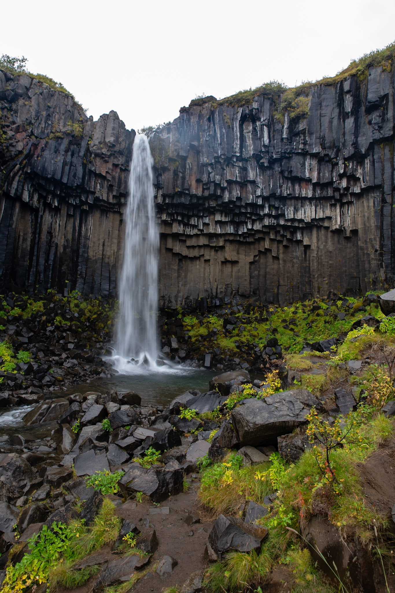 Svartifoss close in.