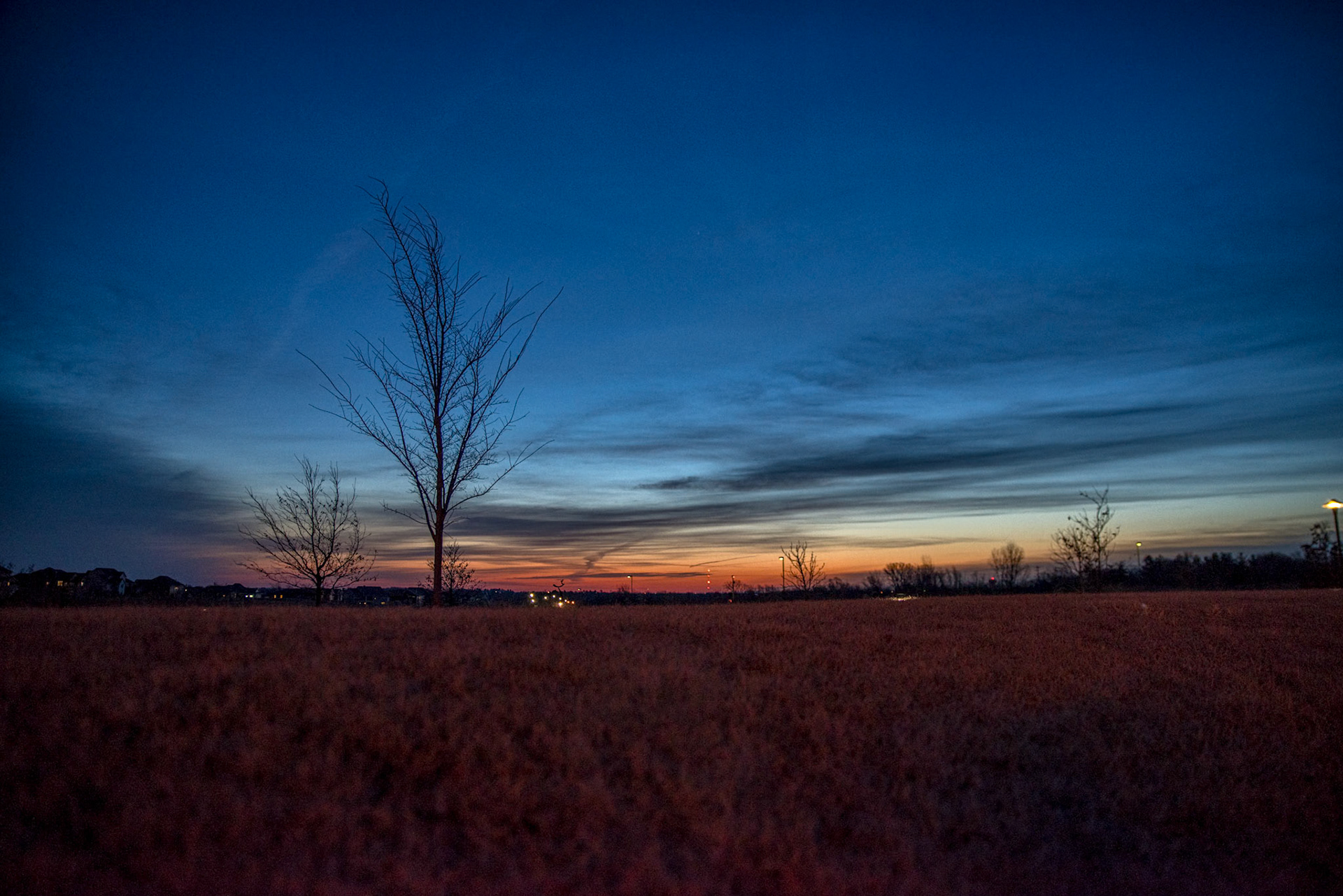 31:365 - Skyline: What makes for gorgeous sunrises? Clouds. What makes for horrible shots of lunar eclipses? Clouds. Today's picture should tell you what I saw this morning! I'm beginning to think Iowa doesn't want me to see any stellar phenomena.