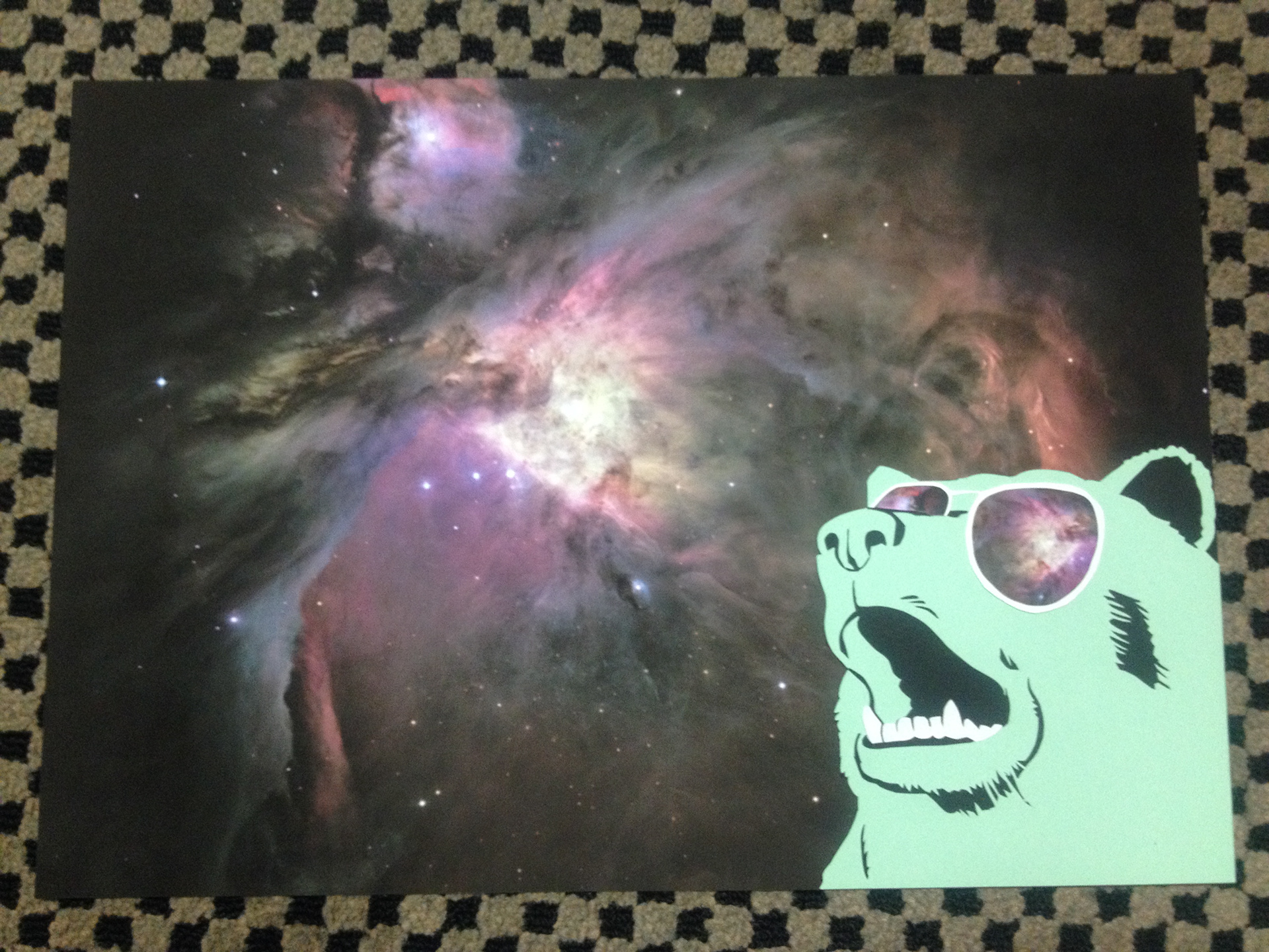 Space Bear 2014