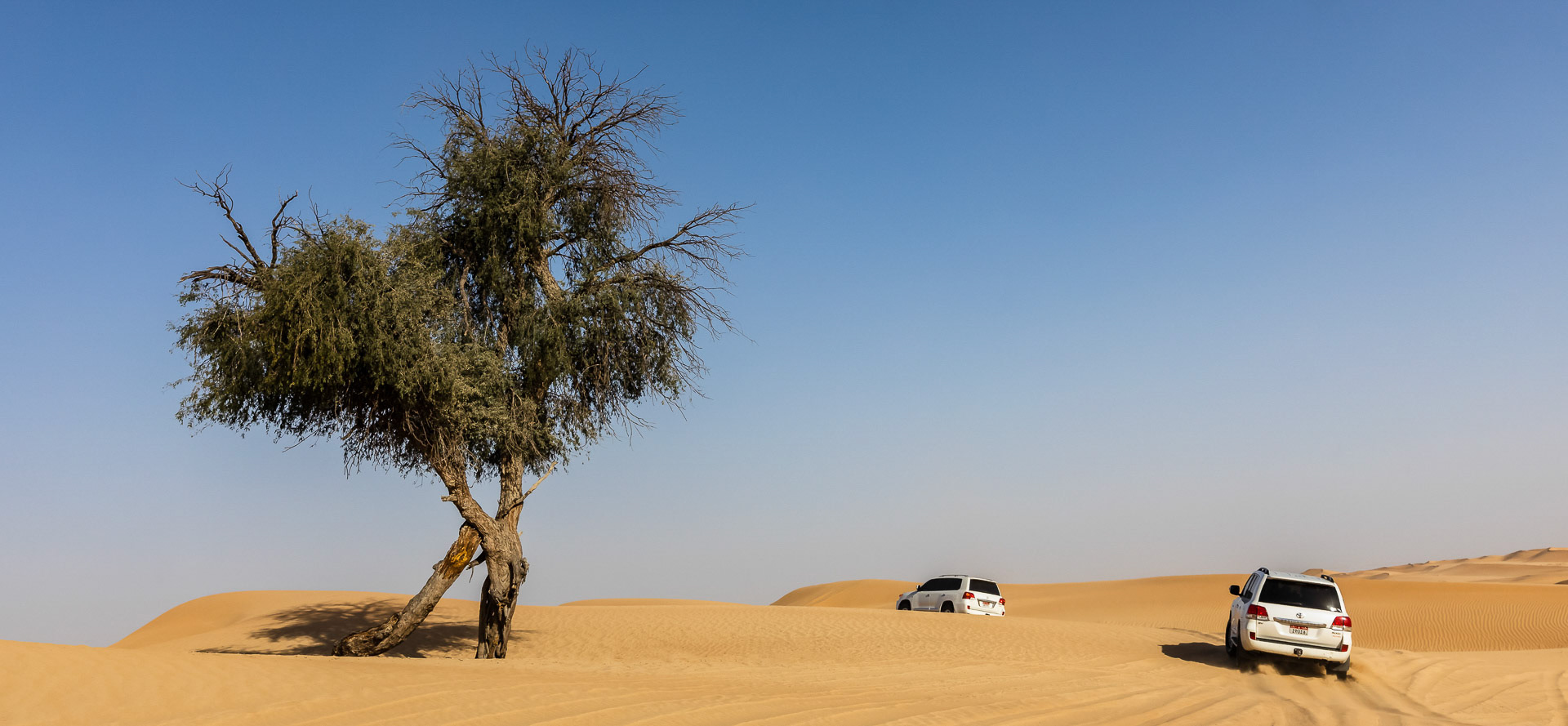 Desert Safari