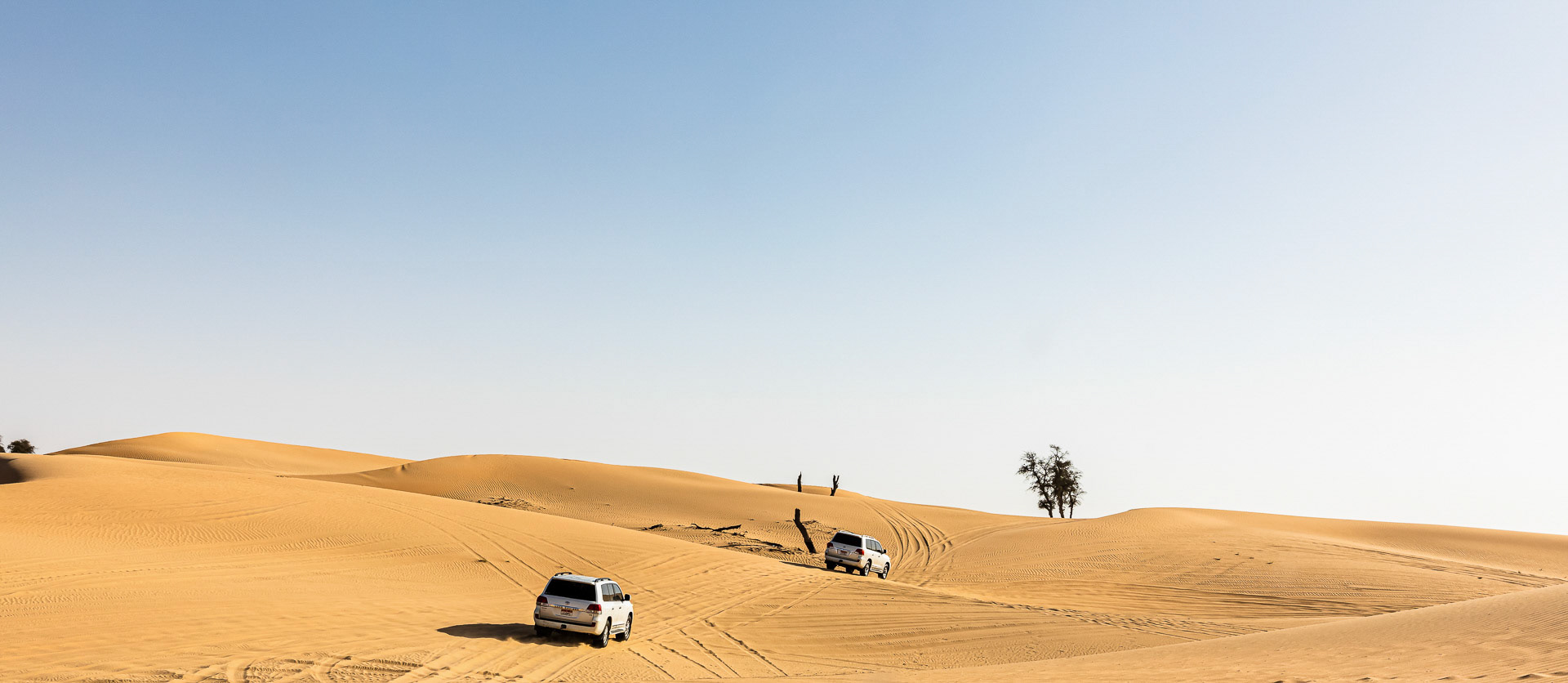 Desert Safari