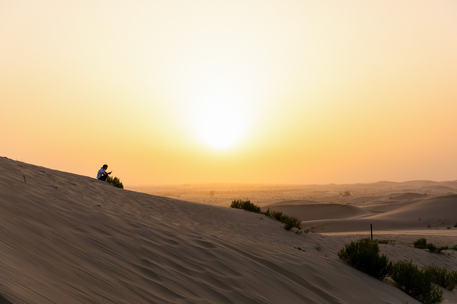 Sunset in the desert