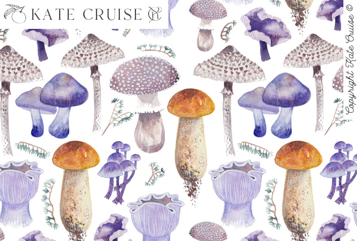 KATE CRUISE