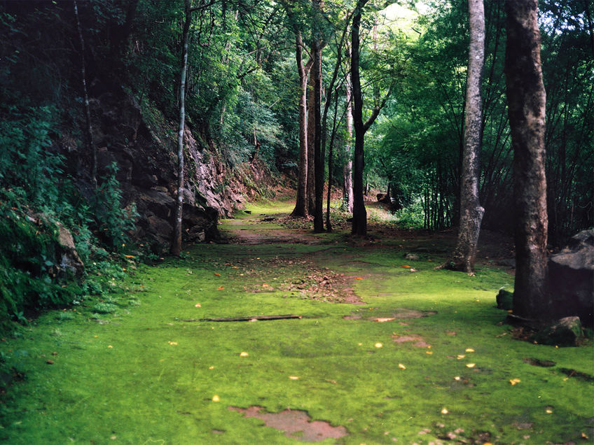 Remnants of the railway and its route remain, continuously changing with the jungle's relentless growth. Hellfire Pass was notoriously deadly, claiming hundreds of lives under the harrowing labour conditions. The prisoners, forced to work throughout the night under the light of flame lamps, named the pass after the way in which their skeletal shadows danced against the rock in the flickering lamplight.