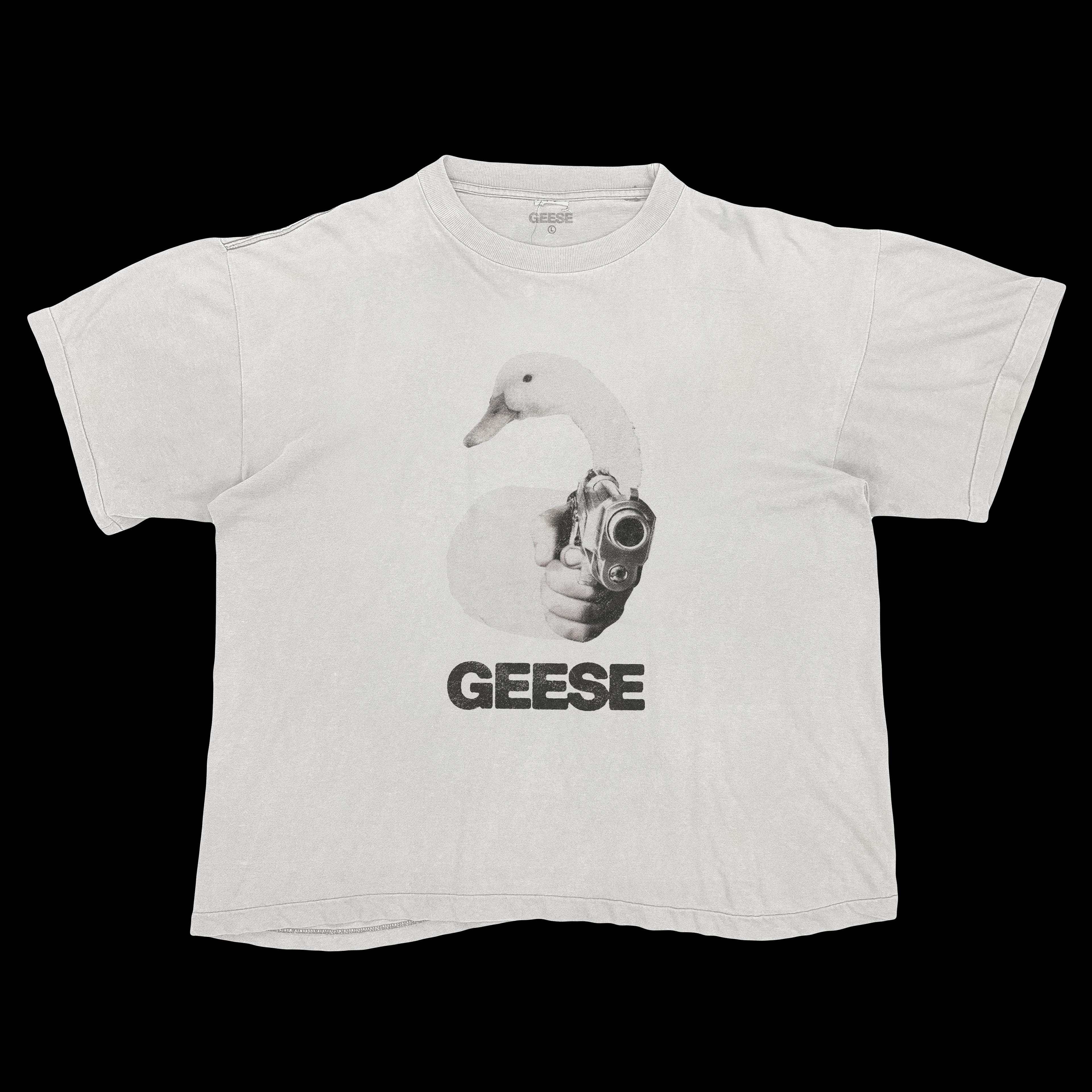 Geese [2025]