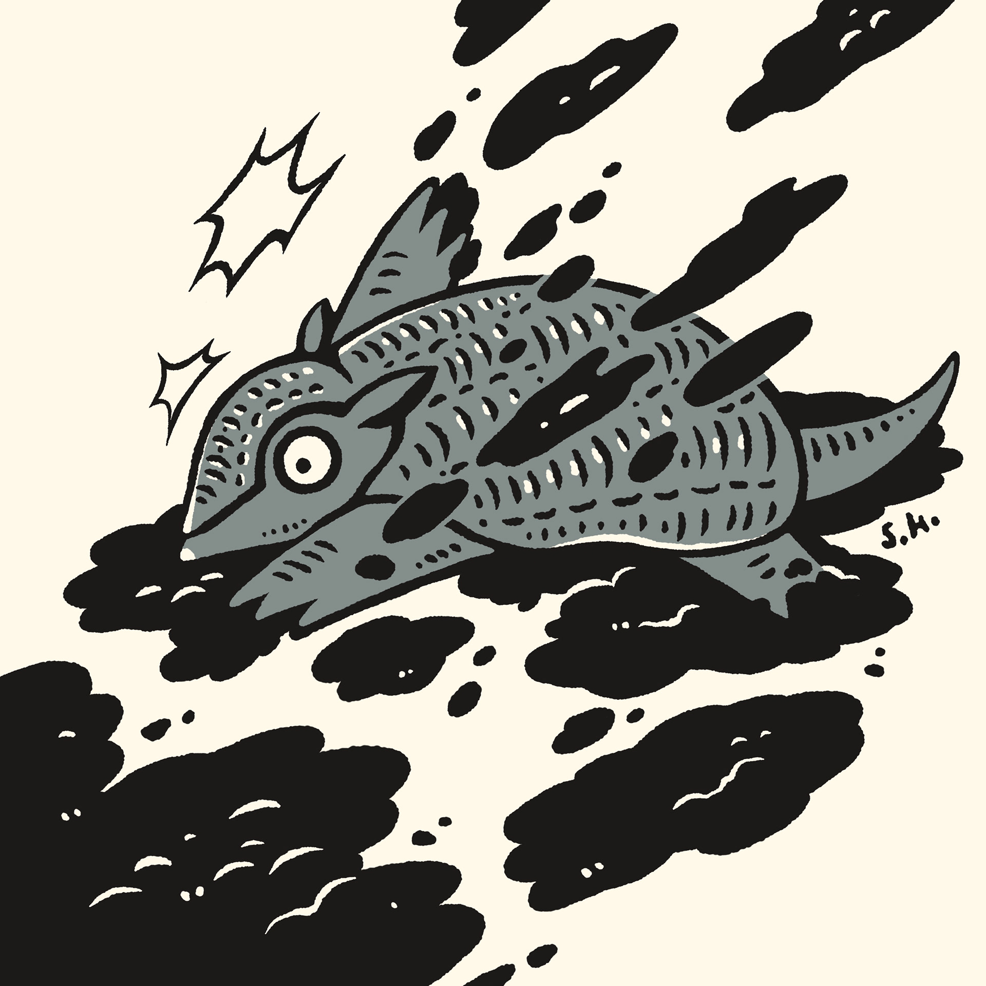 15. Armadillo