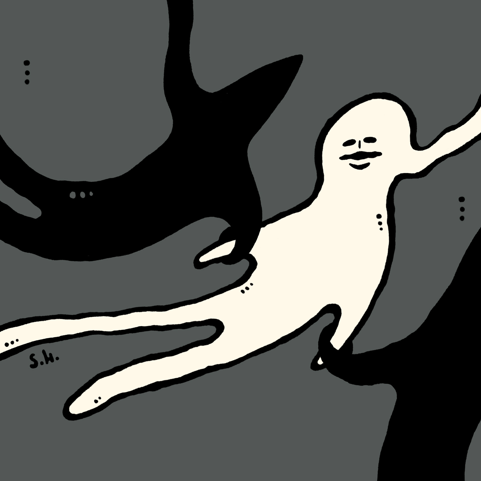 Fluff