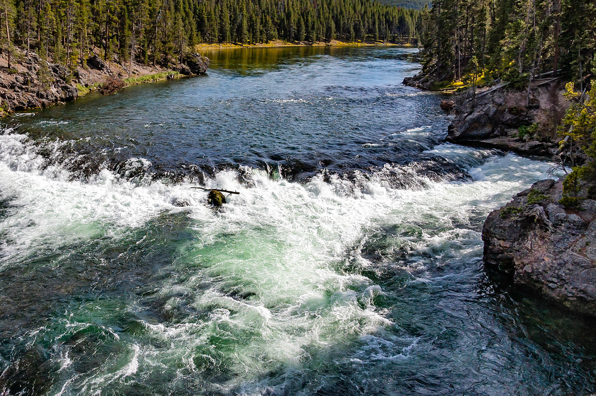 A rock shelf creats rough water and a rapid that disturbs the otherwise calm  flow of the Yellowstone River as it enters the Hayden Valley in Yellowstone National Park, Wyoming, USA. A pine log, finds itself snagged on a rock outcrop during a period of high water flow, finds itself stranded on a rock in the mid-stream.