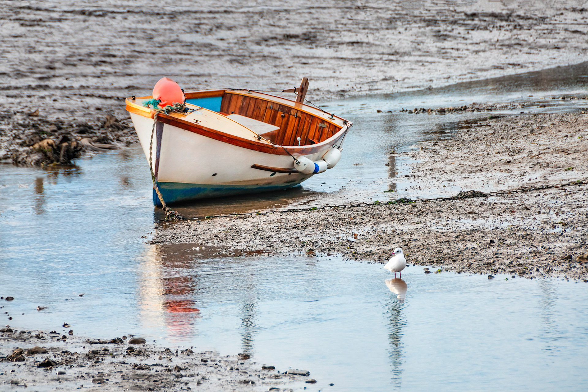 A sea bird scavenges for food in a shallow creek, home for a fishing boat stranded by the outgoing tide. The muddy creek banks of tidal flats near Morston, Norfolk in the United Kingdom provide a save refuge from the heavy weather that is characteristic of the North Sea coast of England.