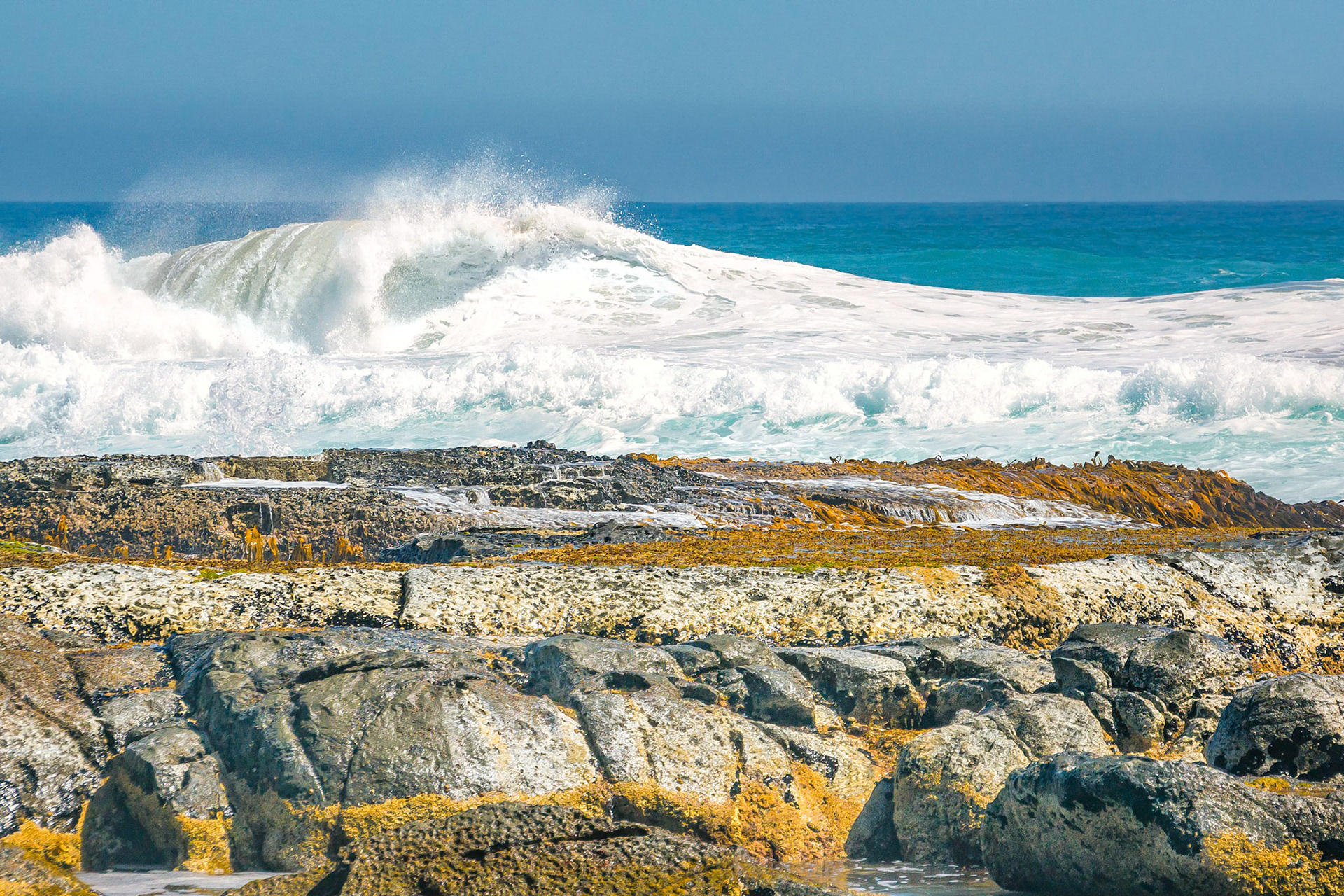 Powerful ocean swells from Bass Strait catch the afternoon sun as they tumble onto the rocks of Australia's southern coast.