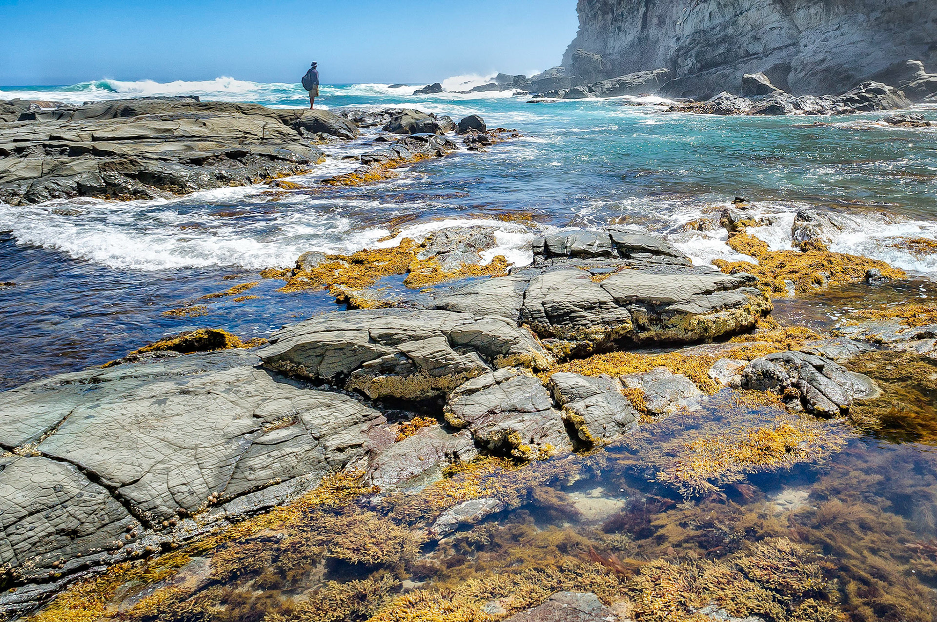 A beach walker has gone as far as he can go along the coast near Castle Cove in the Great Otway National Park, Victoria, Australia. High Bass Strait surf and rocky headlands prevents hiking further along this stretch of the shoreline.