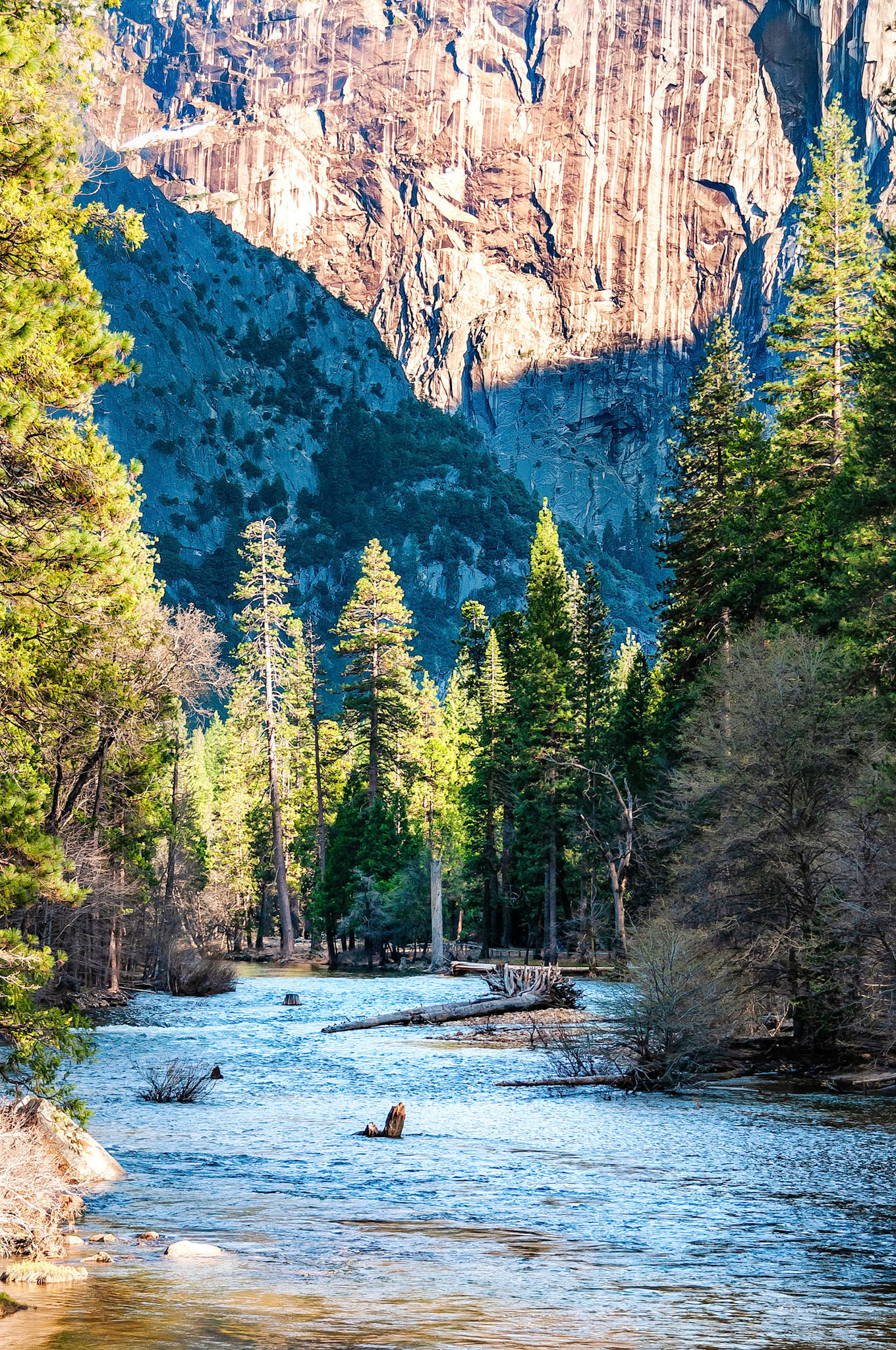 The setting sun lights up tree tops and shear granite cliff walls along the banks of the Merced River in Yellowstone National Park, California, USA.