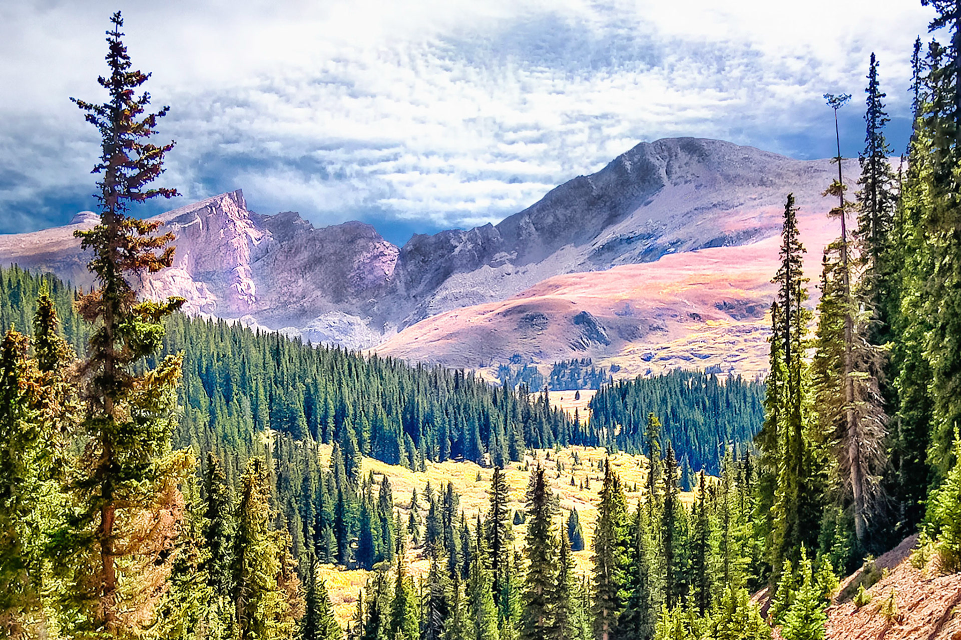 Mount Bierstadt, (14,065 ft = 4,287m), located in the Chichago Peaks of Colorado, USA, was named after Albert Bierstadt, a famed painter of western landscapes in the 1860s. Pine beetles have damaged some trees in the foreground forest adding to the vibrant autumn colors showing in the meadows and on the hillsides below the peaks.