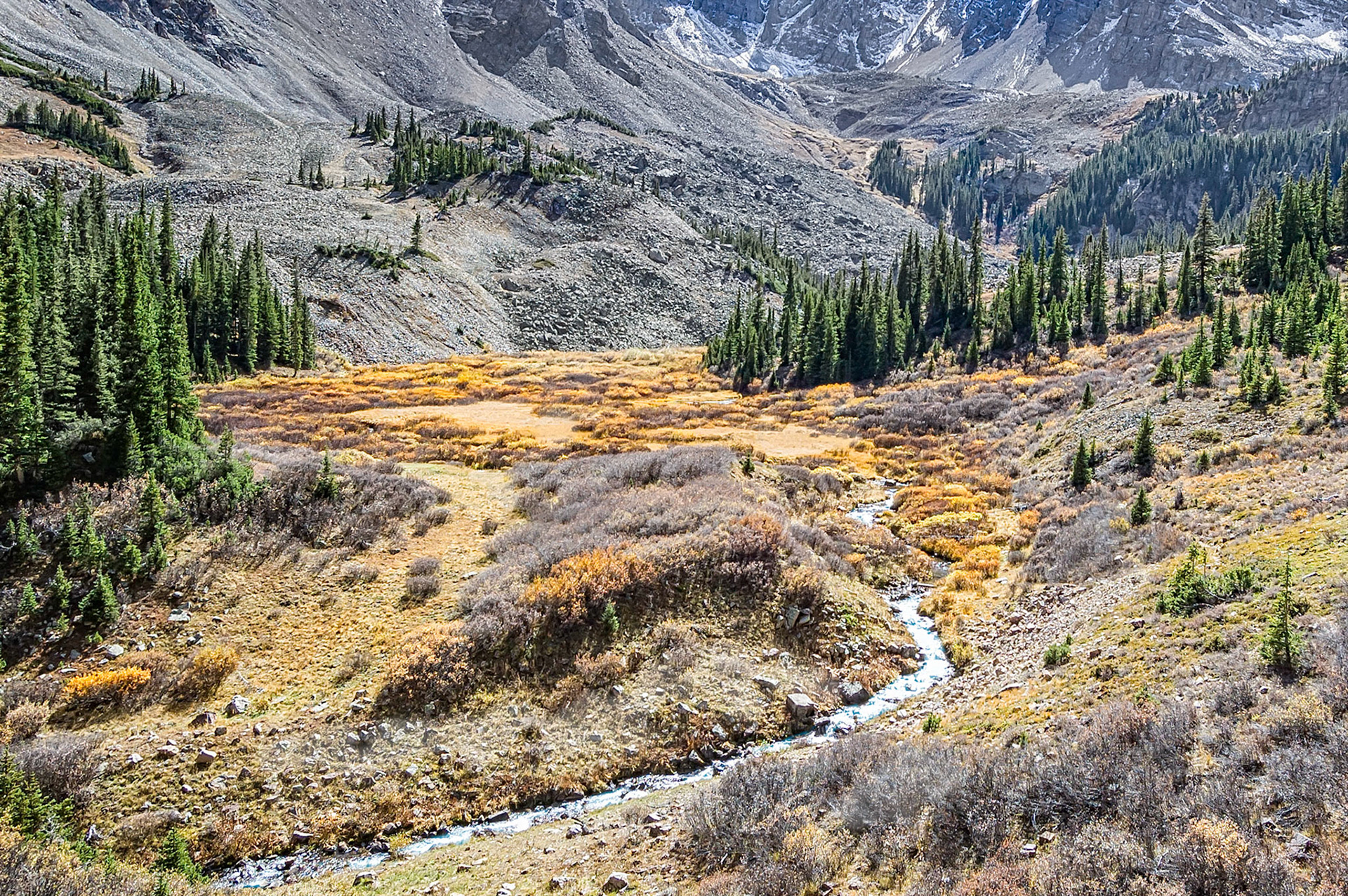 The waters of Pine Creek cut through a high mountain meadow below the scree slopes of Cathedral Peak in the Maroon Bells -Snowmass Wilderness Area near Aspen, Colorado, USA. The cooler autumn weather has turned the alpine willow shrubs and grasses a golden yellow.