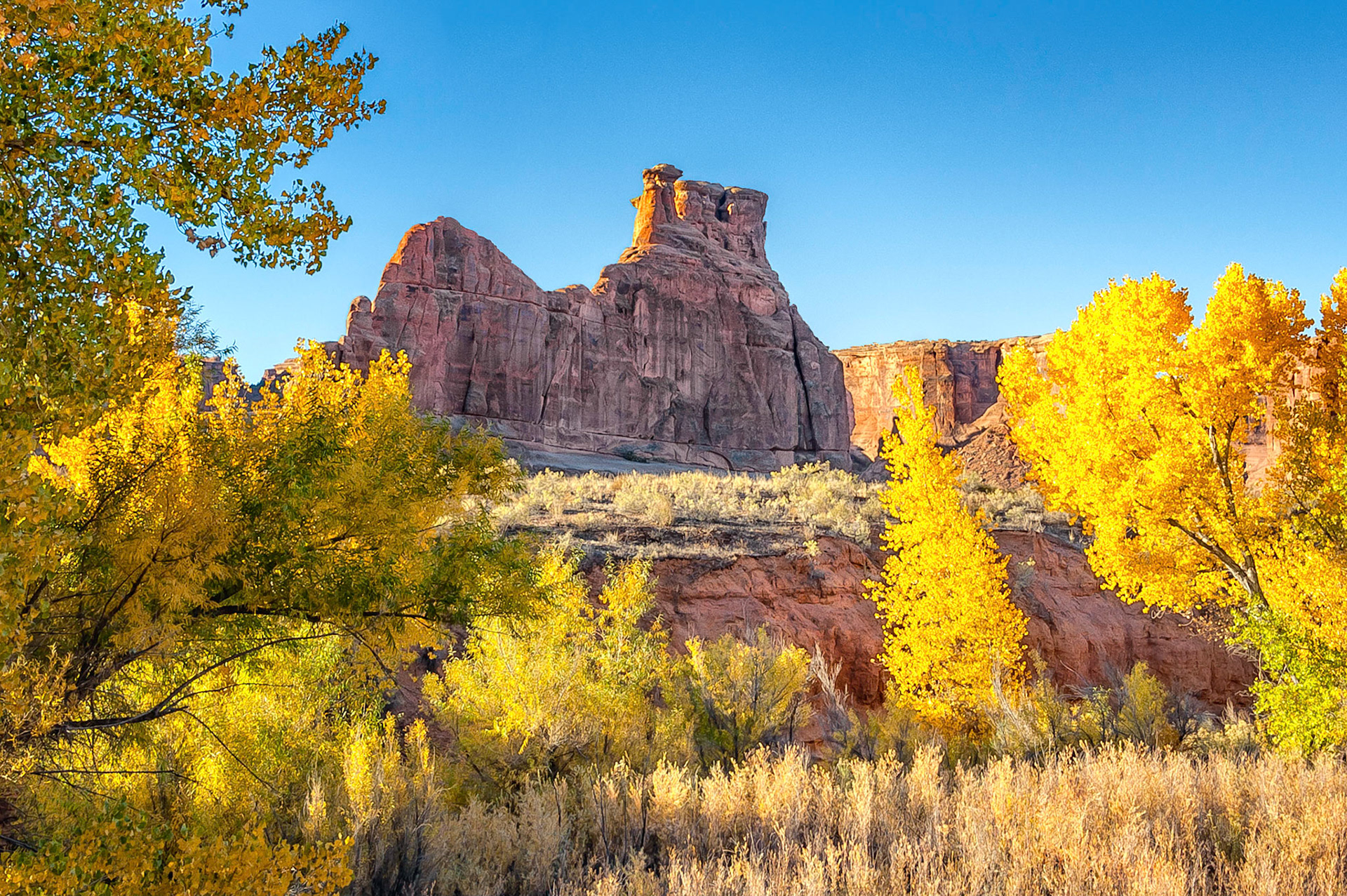Early morning sunlight catches the edges of a sandstone fin formation, (known as the Tower Of Babel), and lights up the autumn leaves of trees growing along the Courtroom Wash in the Arches National Park, Utah, USA.