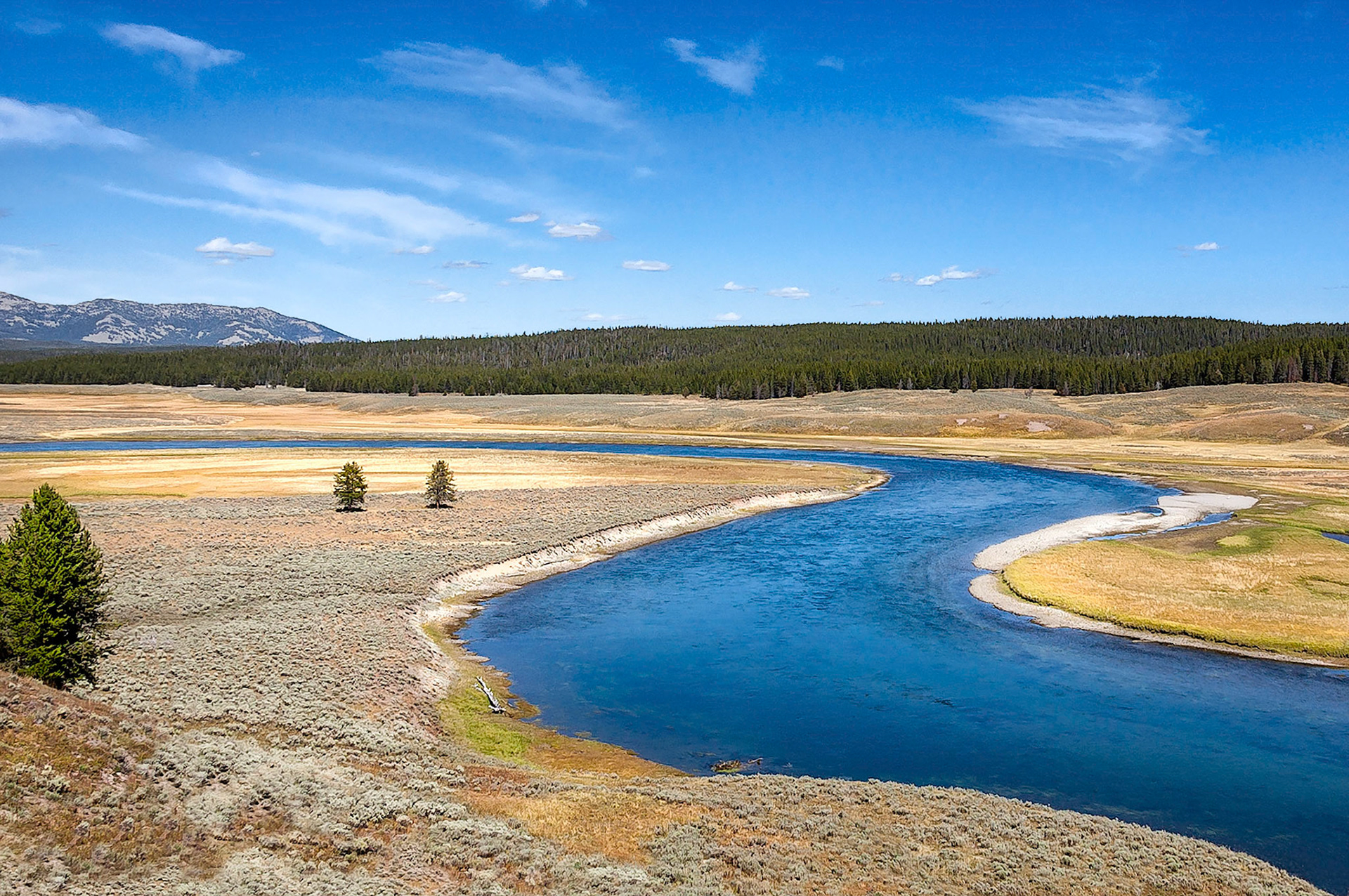 The Lamar River, a tributary of the Yellowstone River, reflects the sunny blue sky as it meanders along a floodplain in the Yellowstone National Park, Wyoming, USA. Bison graze and find ample feed on these sagebrush grasslands.