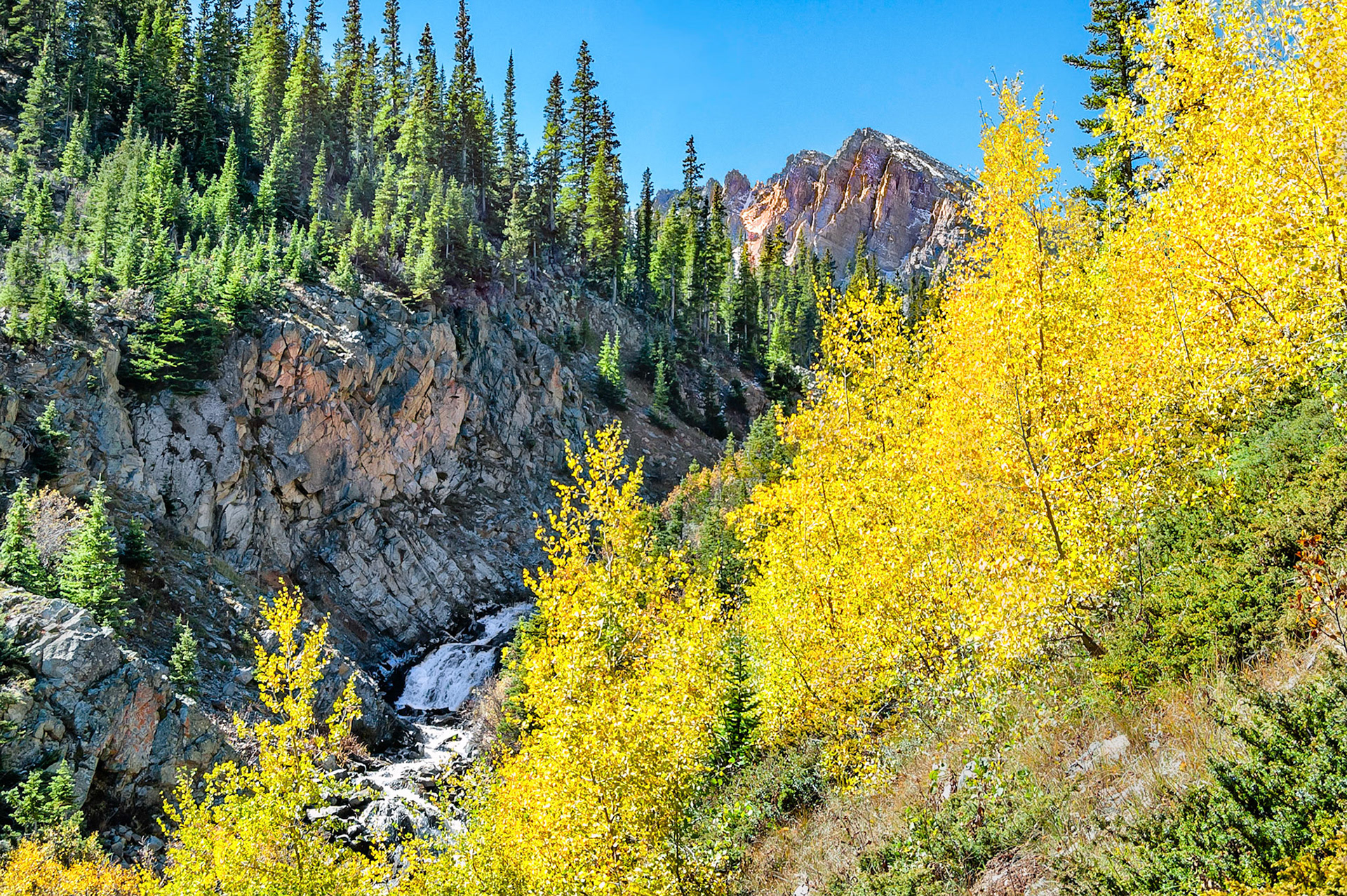 A hike along Pine Creek near Aspen, Colorado, USA, reveals striking views of ridge lines, rugged terrain, creeks and clear waters rushing over cascades. The yellow autumn foliage of Aspen Trees contrasts with the vivid blue Colorado skies. At the far end of the watershed, Cathedral Peak reaches into the sky.