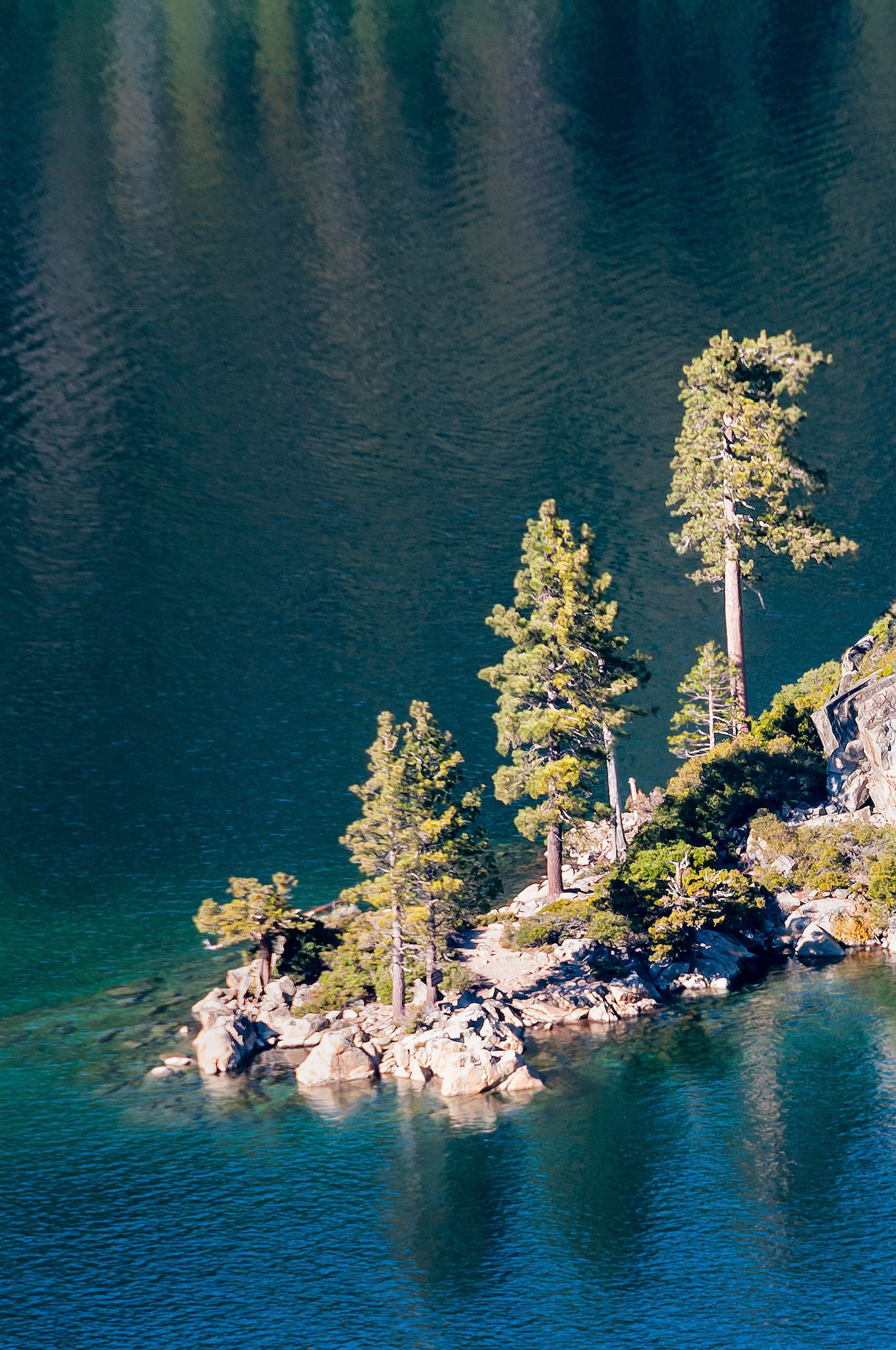 A group of Ponderosa Pine trees growing on a rocky headland jutting into Lake Tahoe, Nevada, USA are reflected in the clear waters below. Trees growing on the far bank of the lake are reflected in the still waters beyond the headland.