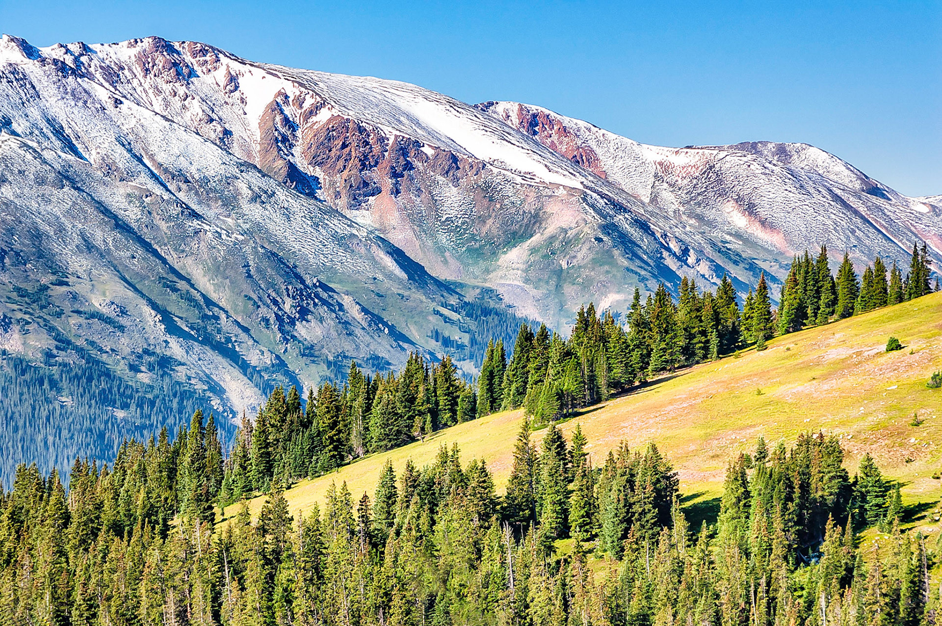 A dusting of snow on the higher ridges near Berthoud Pass, (11,300 feet = 3,444 meters in Colorado, USA), signals the comming of winter to the Rocky Mountain high country. Rocky soils on ridges that are not favoured by the pine trees, support meadows of alpine grasses.