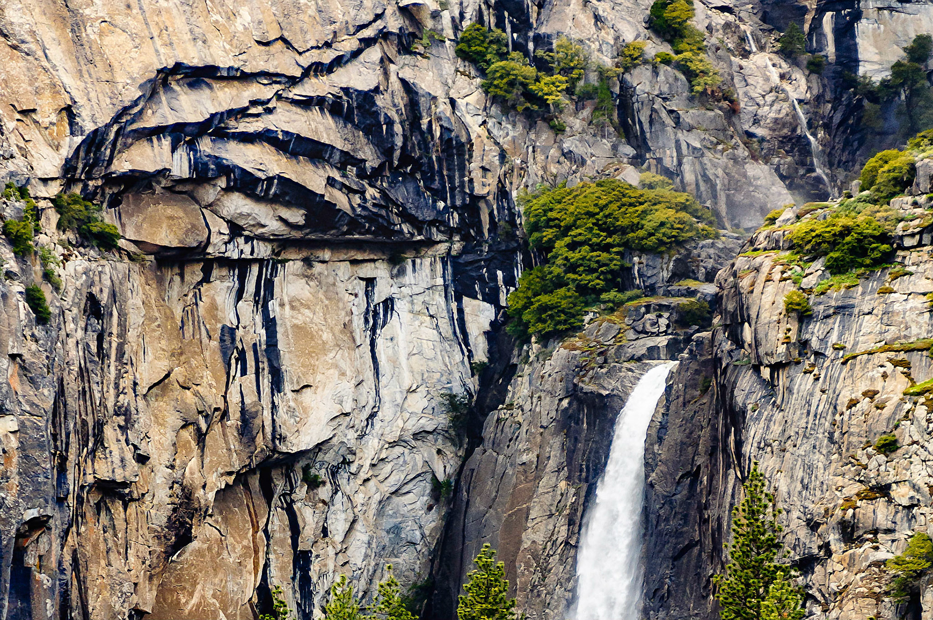 After dropping over the Upper Falls, Yosemite Creek pauses briefly in a lush, vegetated gorge before launching over the lip of the Lower Yosemite Falls as it flows on its way to the Merced River below.