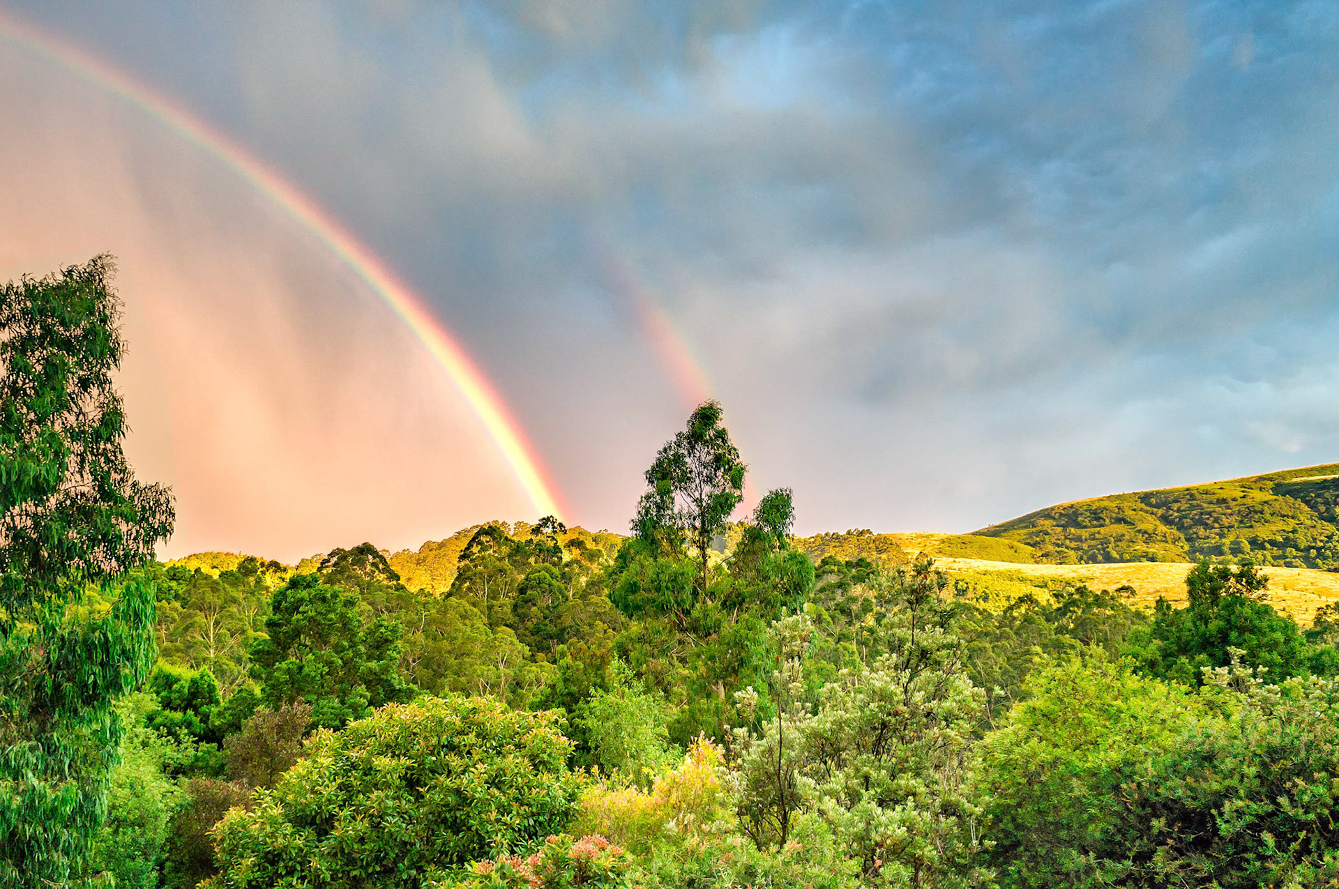 A rainbow sets up in the sky over the Australian bush after an afternoon storm passes through.