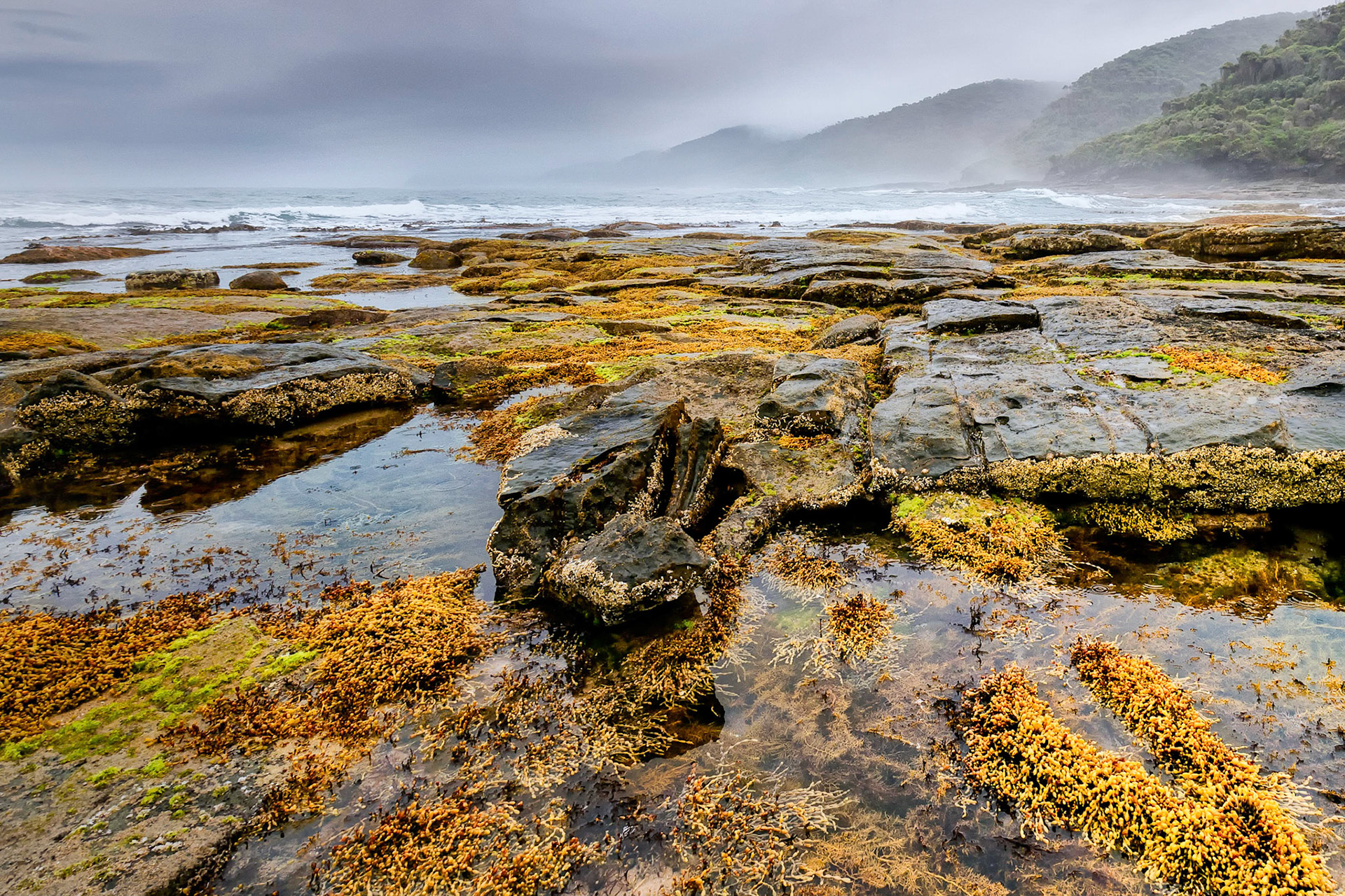 Coastal foothills of the Great Otway National Park are shrouded in clouds, rain and mist as the Bass Strait seas crash relentless surf onto a rocky shoreline.