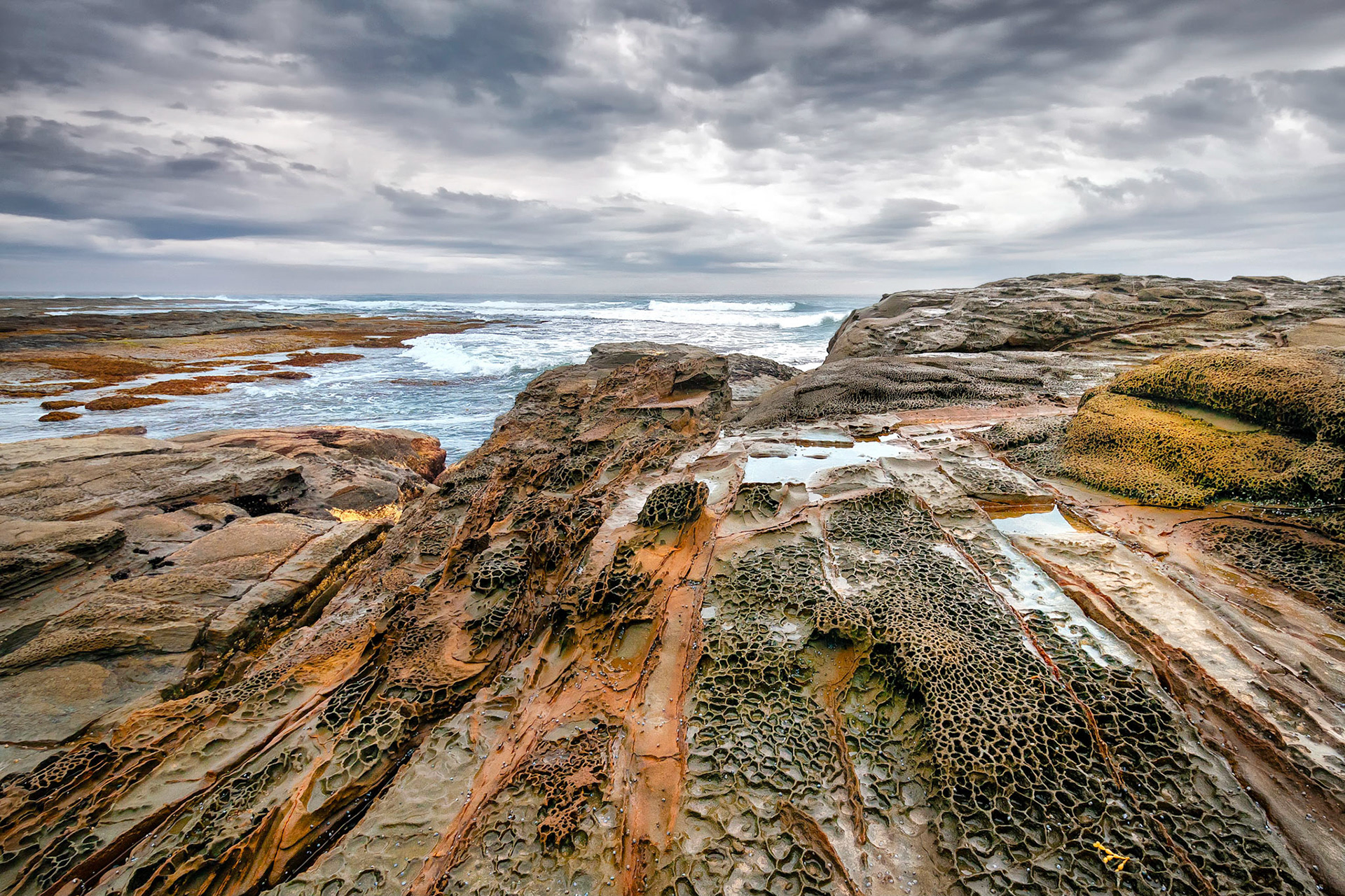 Reticulated erosion patterns in basalt lava flows are found along the shoreline at Shelley Beach, Otway National Park, Australia. Located on Bass Strait, these rocky headlands are constantly battered by storms.